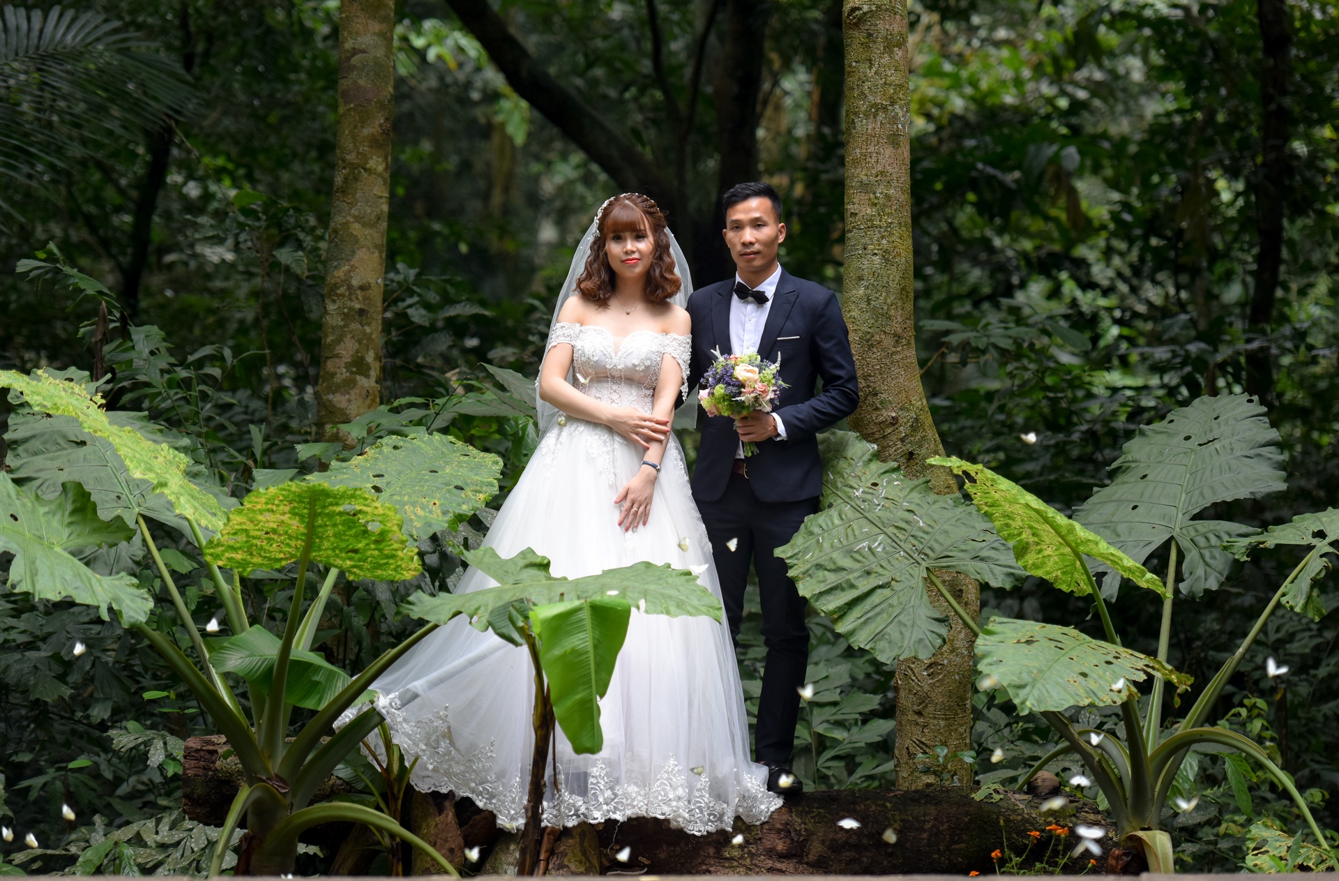 cuc phuong mua buom anh 11