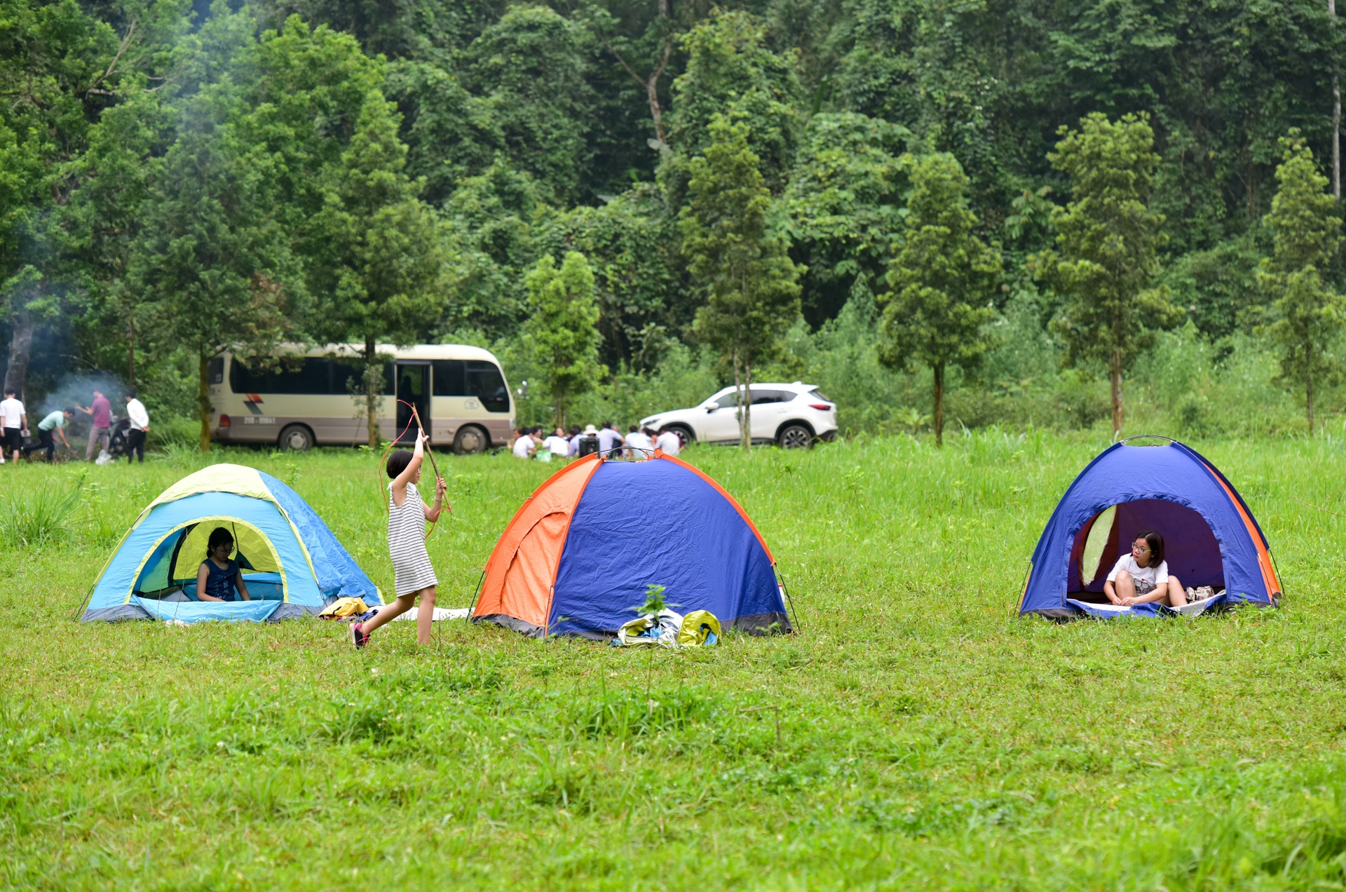 cuc phuong mua buom anh 12