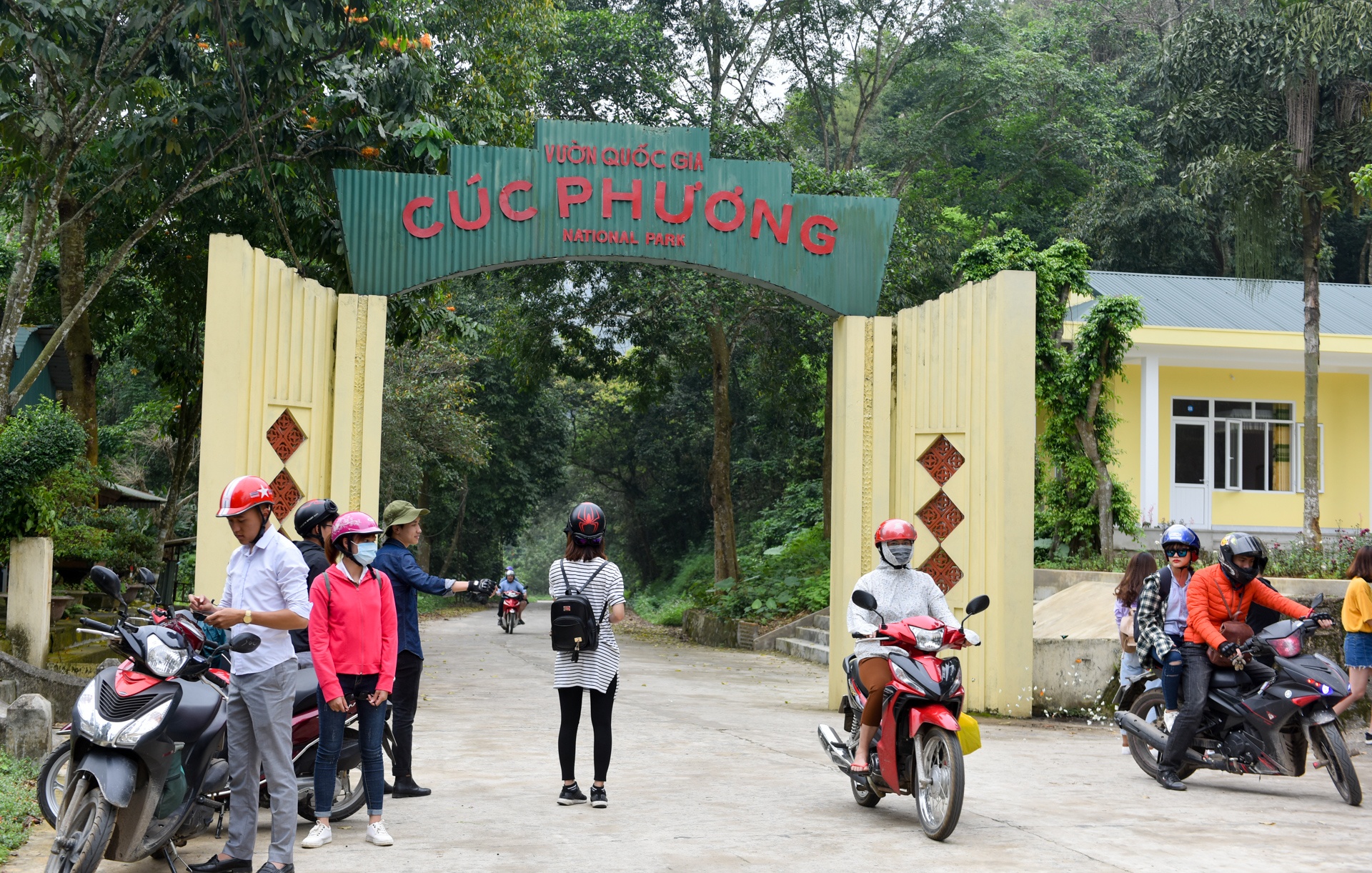 cuc phuong mua buom anh 1