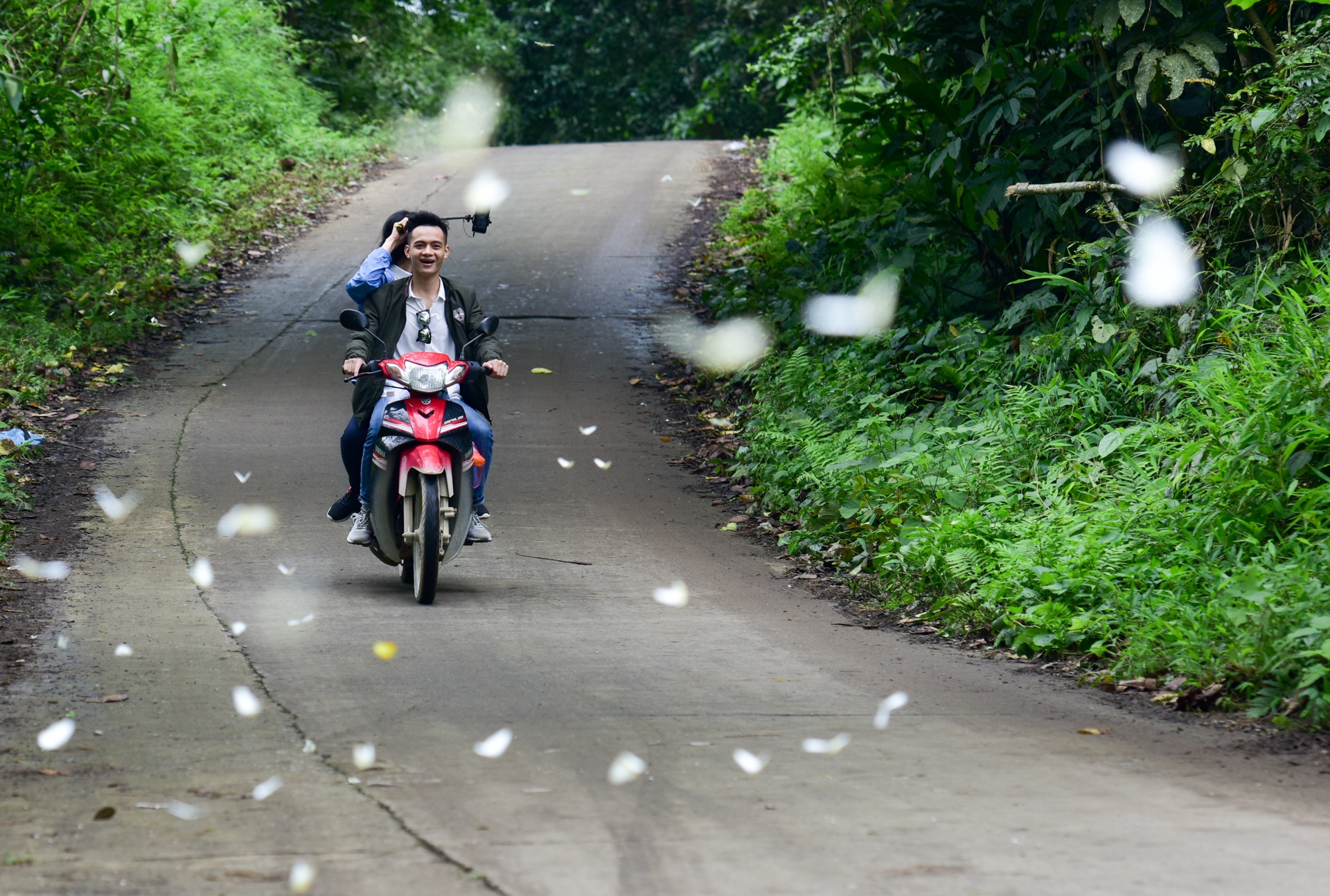 cuc phuong mua buom anh 2