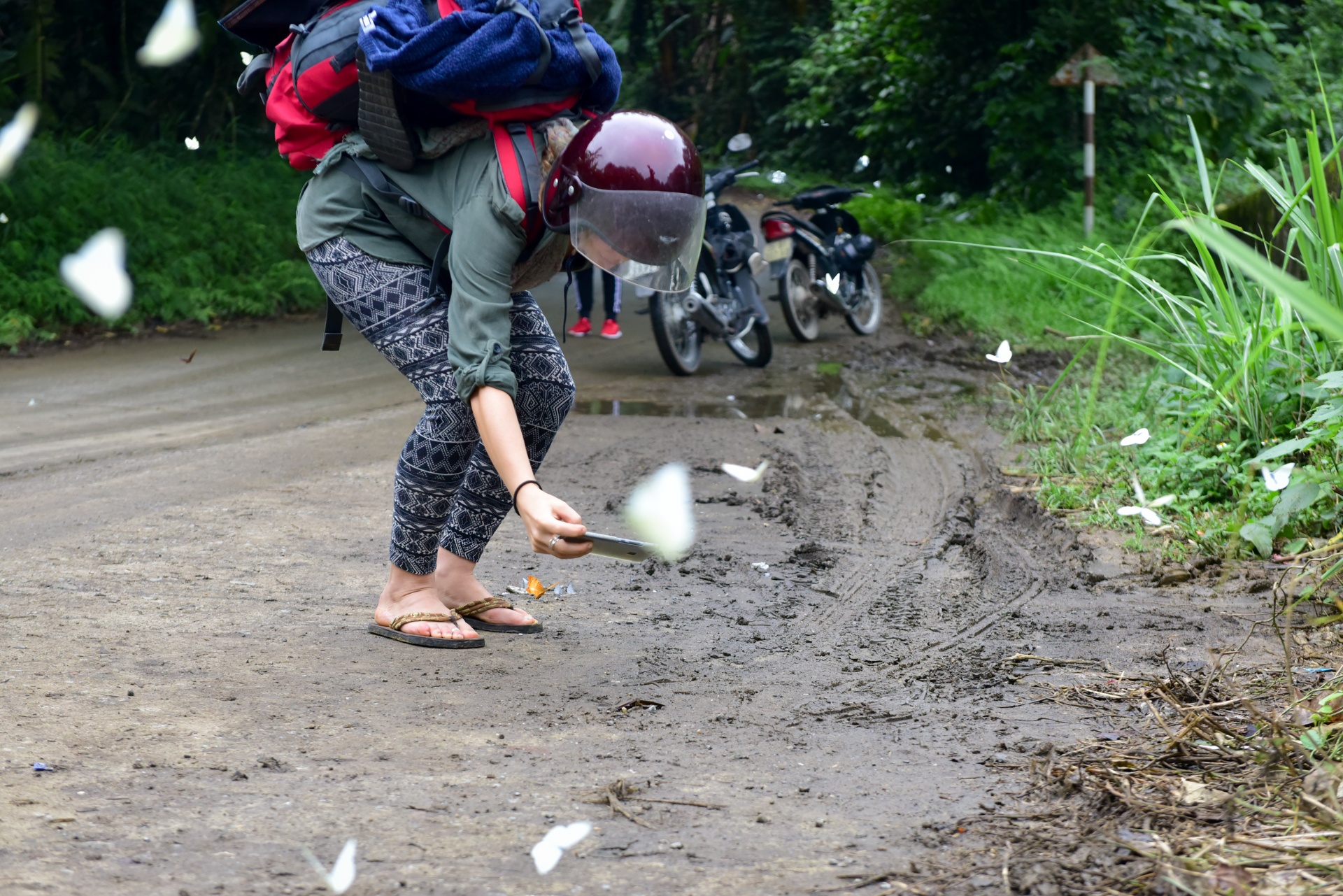 cuc phuong mua buom anh 5