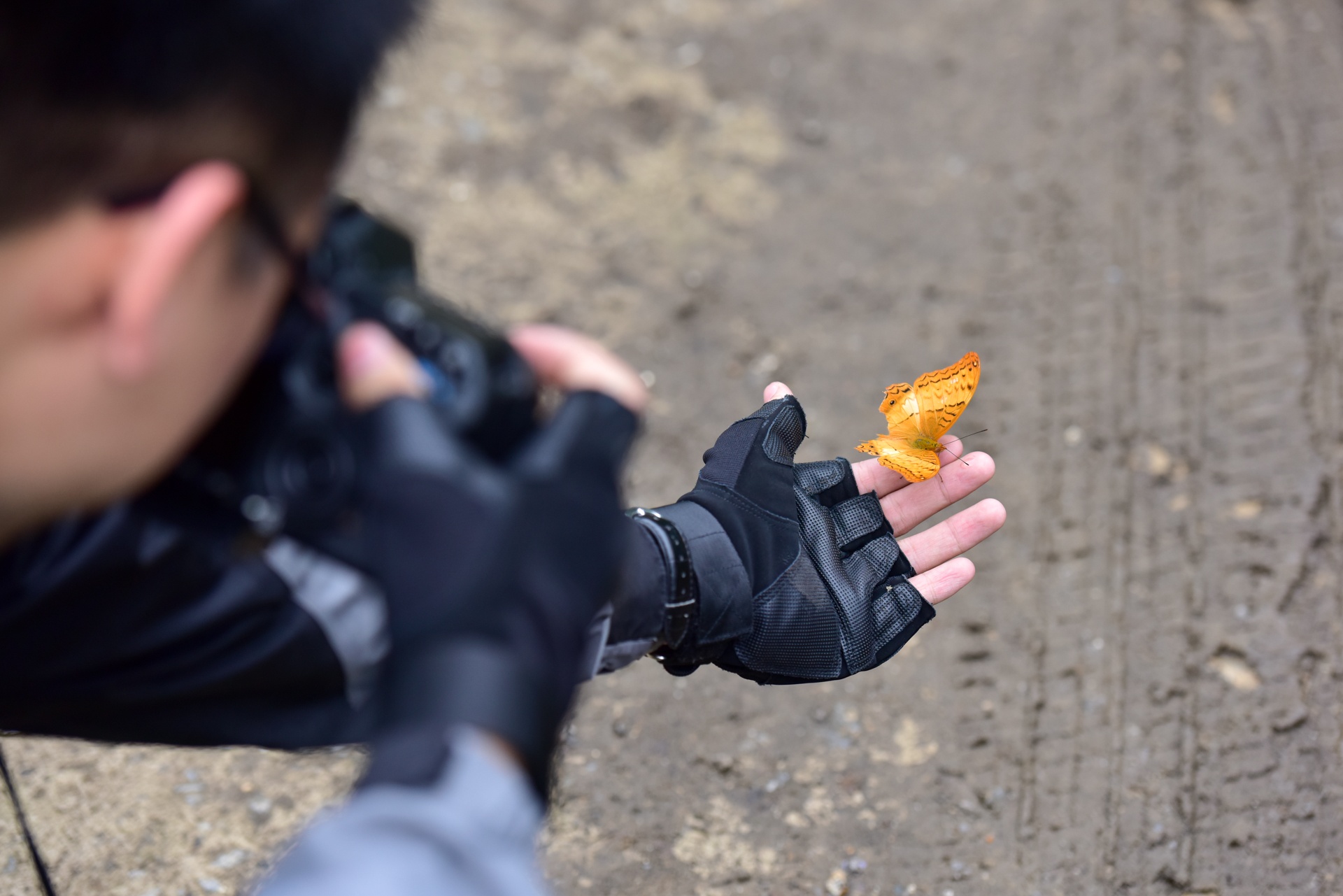 cuc phuong mua buom anh 6