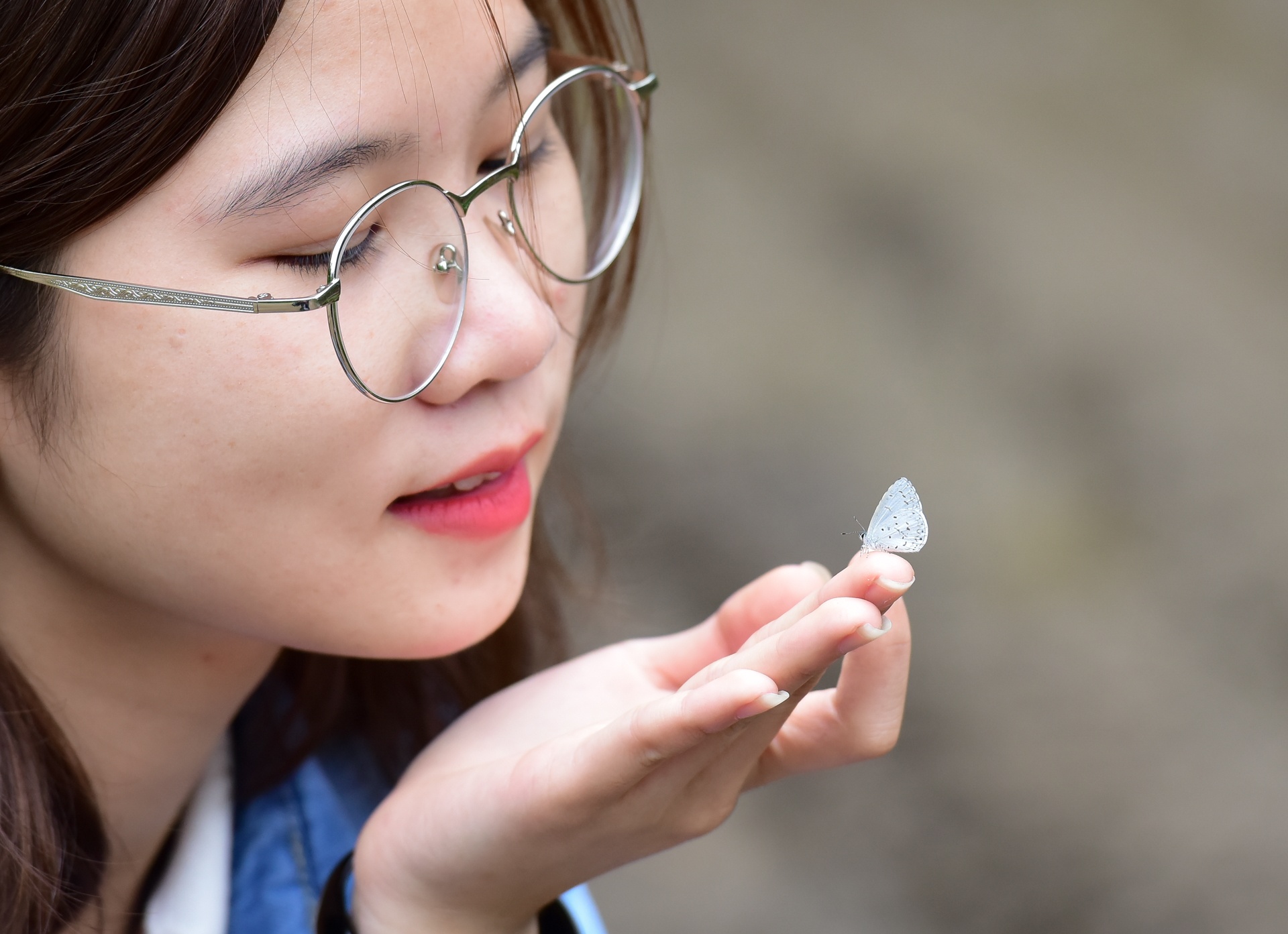 cuc phuong mua buom anh 7