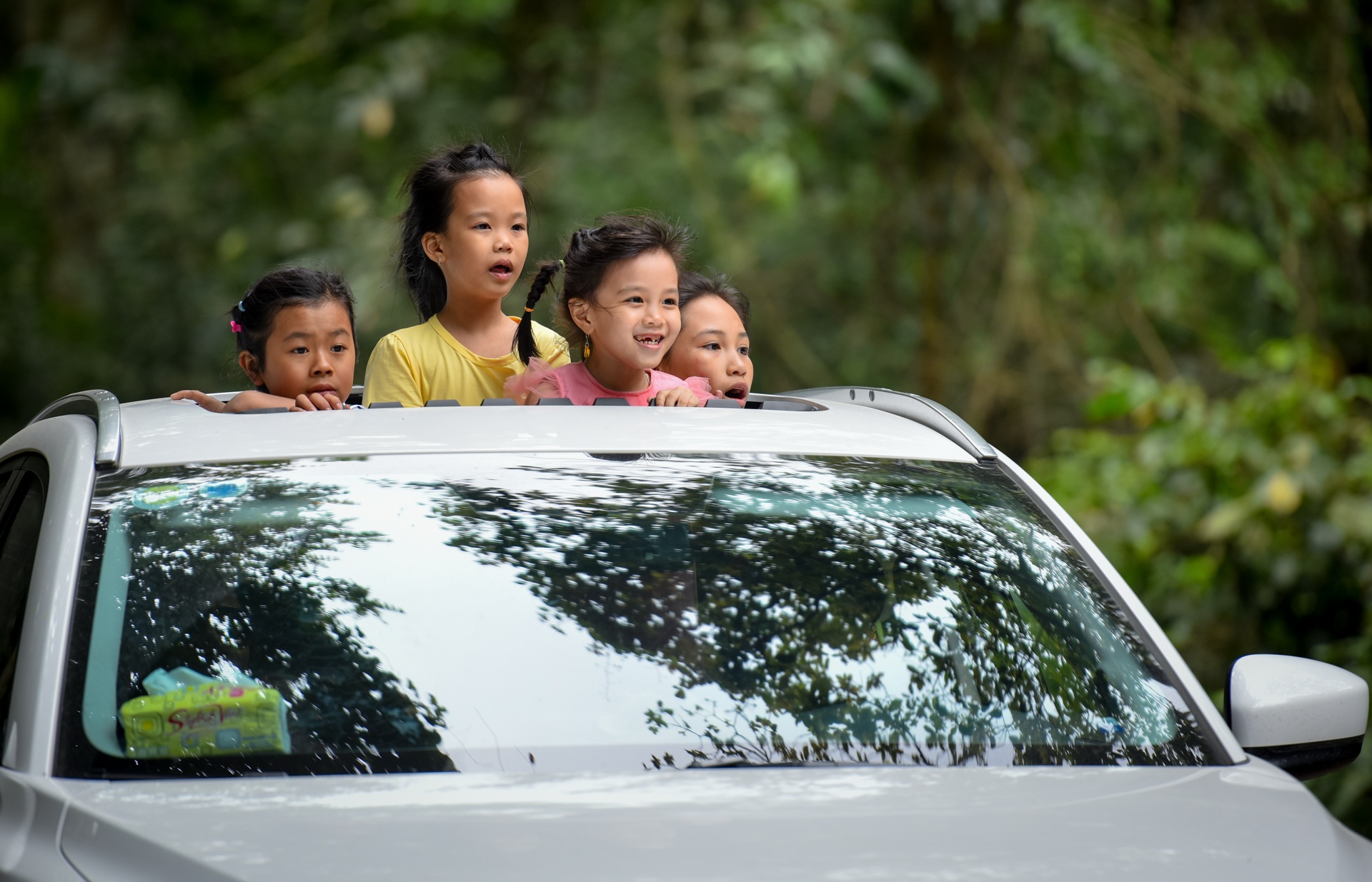 cuc phuong mua buom anh 10