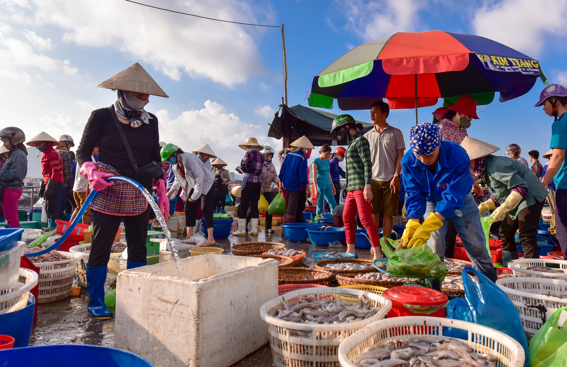 Khong khi ron rang o cho ca Ben Do hinh anh