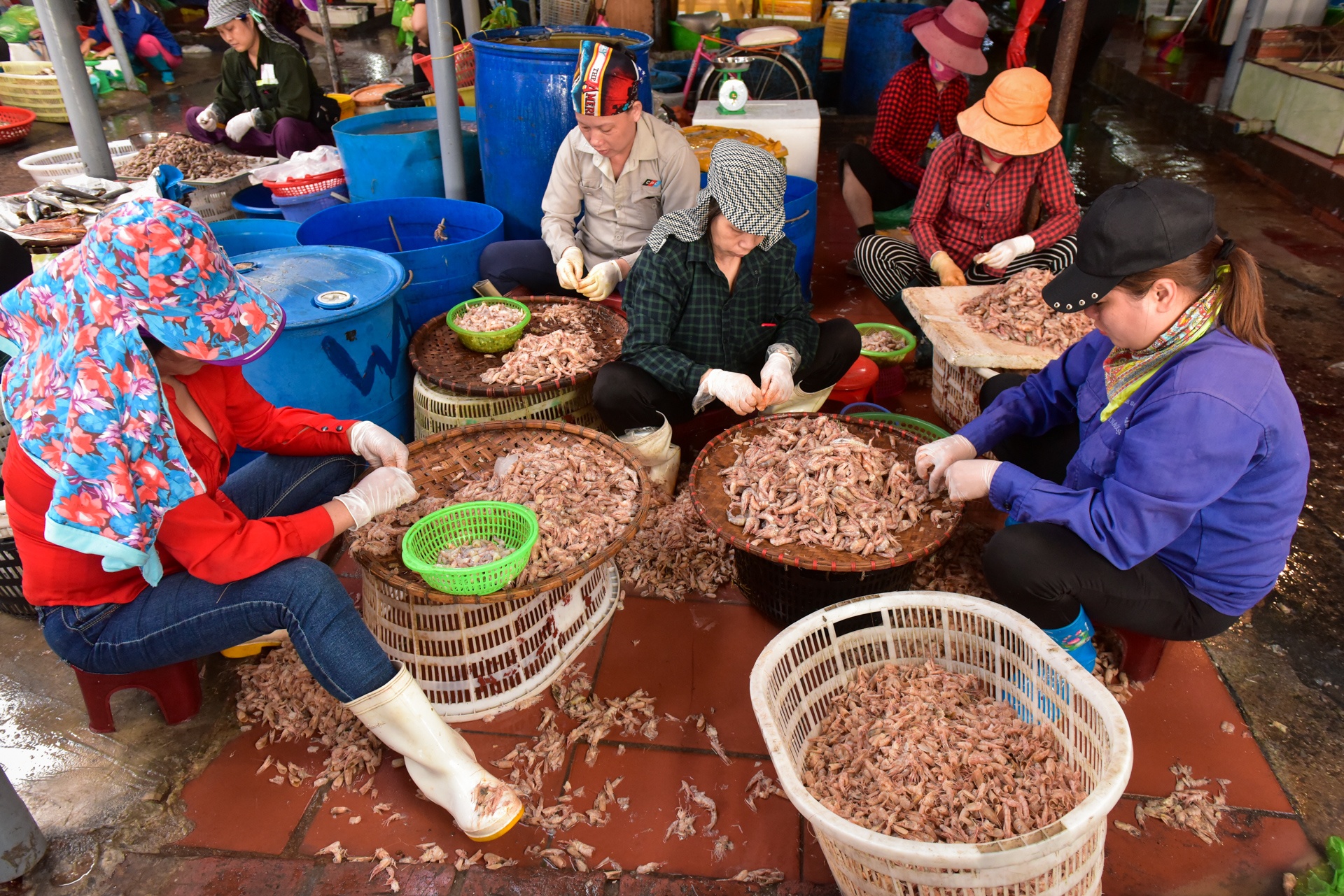 Chợ cá Bến Do ảnh 10 Cho ca Ben Do anh 10