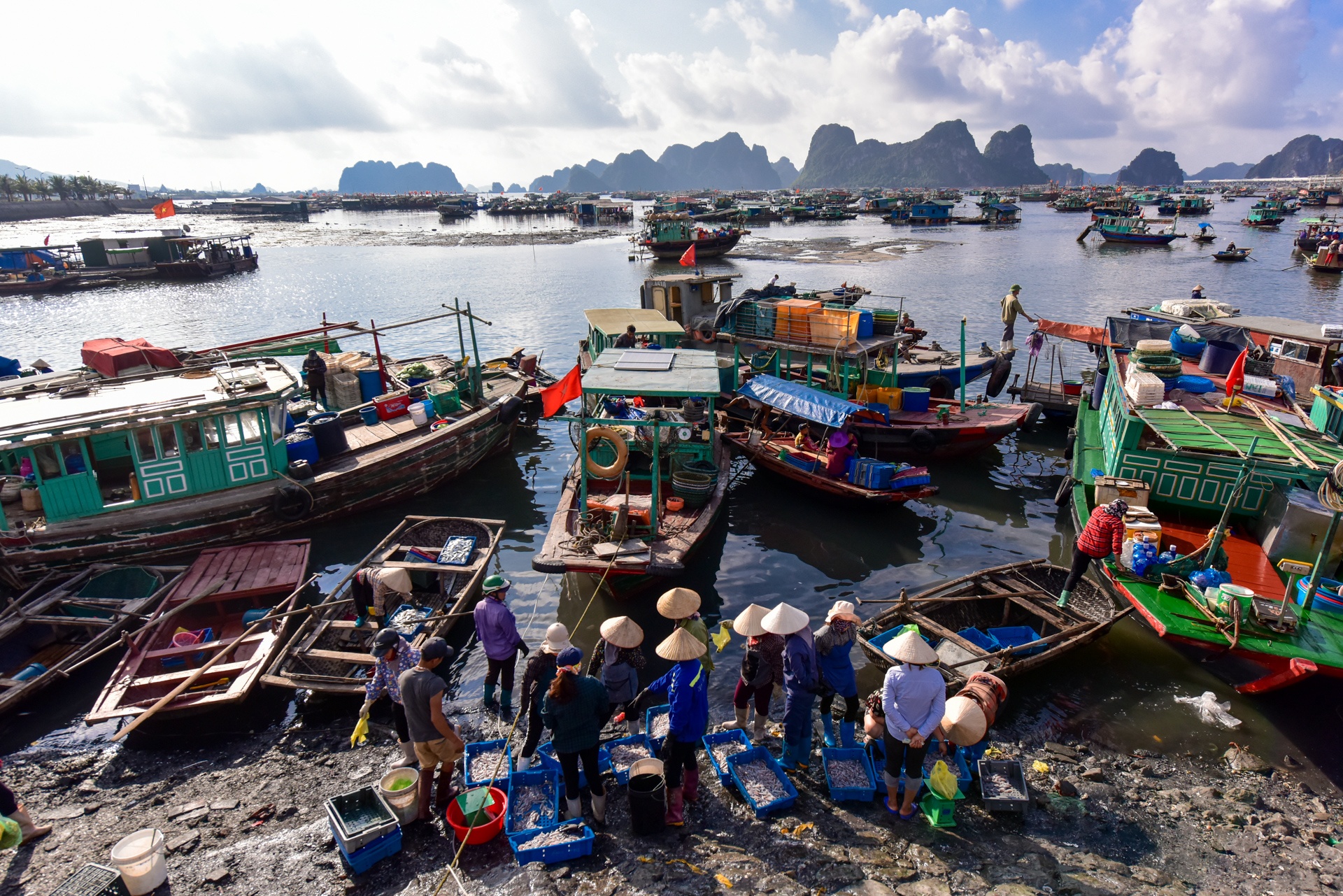 Chợ cá Bến Do ảnh 2 Cho ca Ben Do anh 2