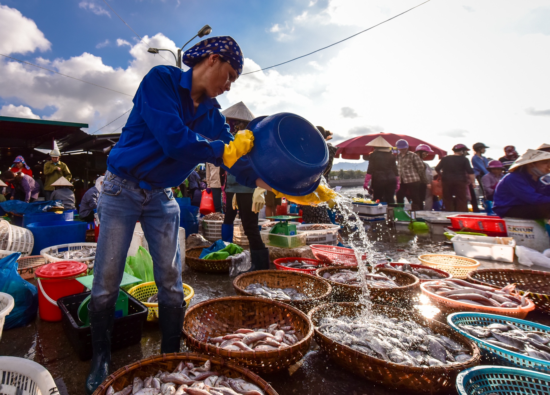 Chợ cá Bến Do ảnh 4 Cho ca Ben Do anh 4