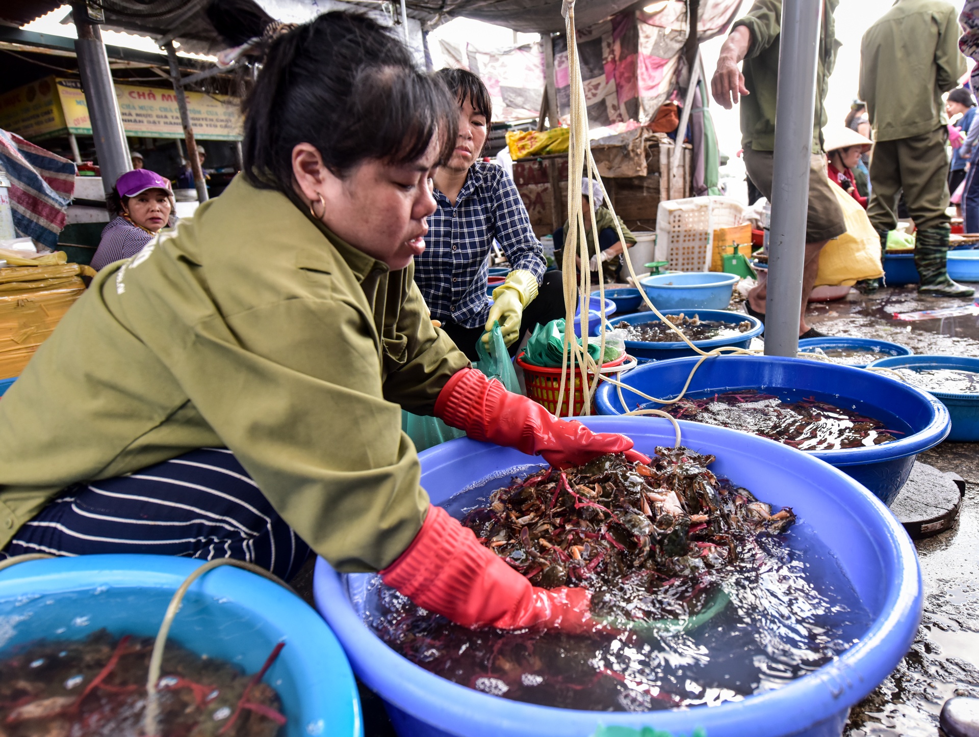 Chợ cá Bến Do ảnh 6 Cho ca Ben Do anh 6