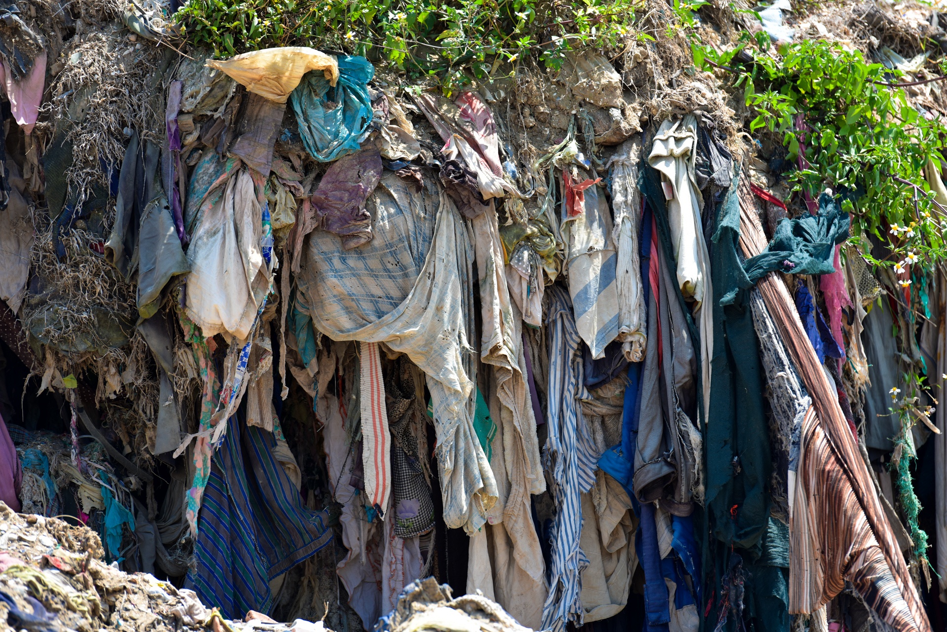 'Bien rac' khong lo o Thanh Hoa dan duoc dep bo hinh anh