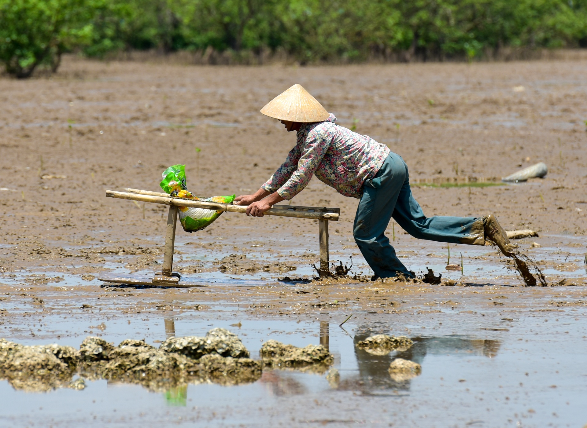 Bien rac khong lo o Thanh Hoa anh 10