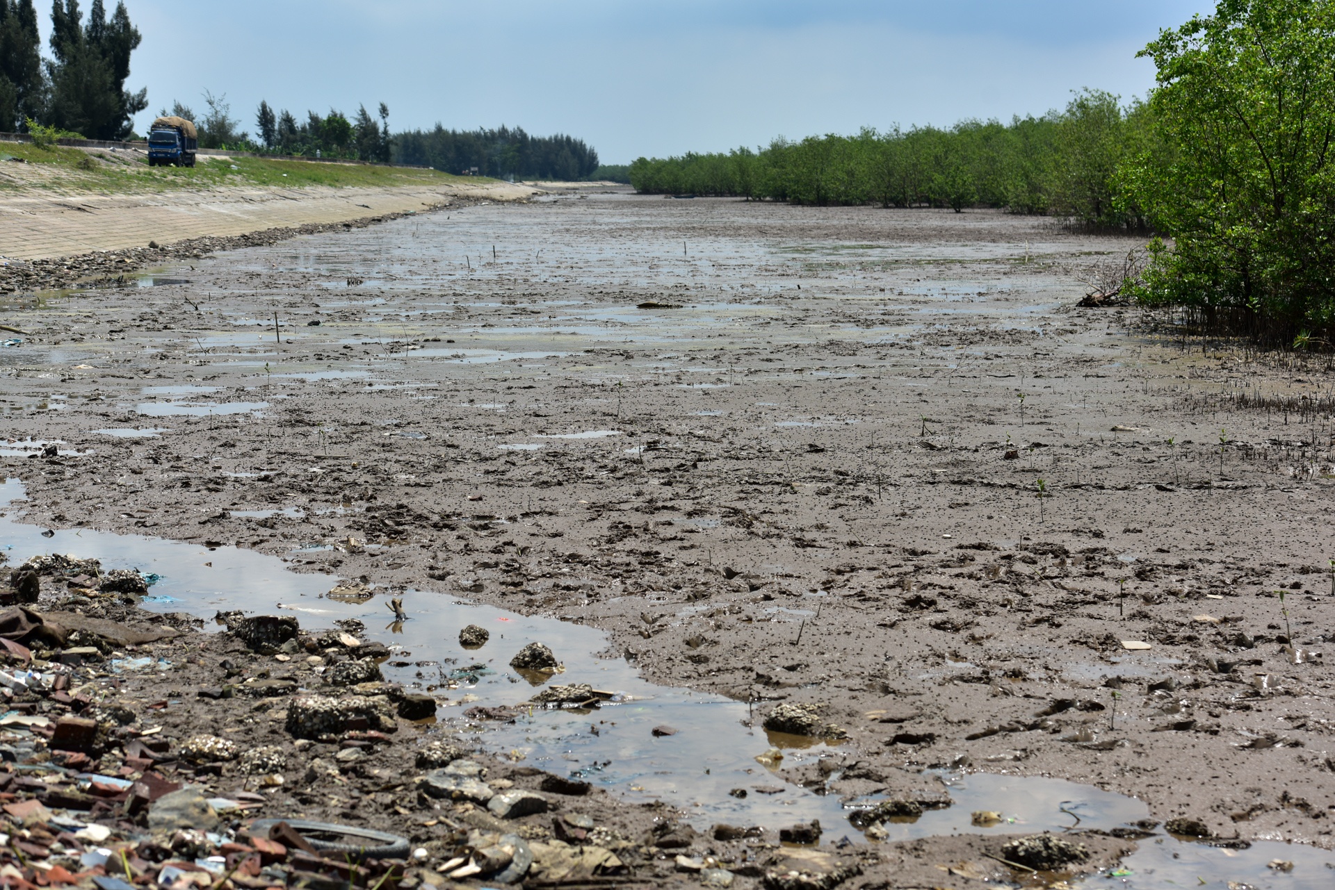 Bien rac khong lo o Thanh Hoa anh 4