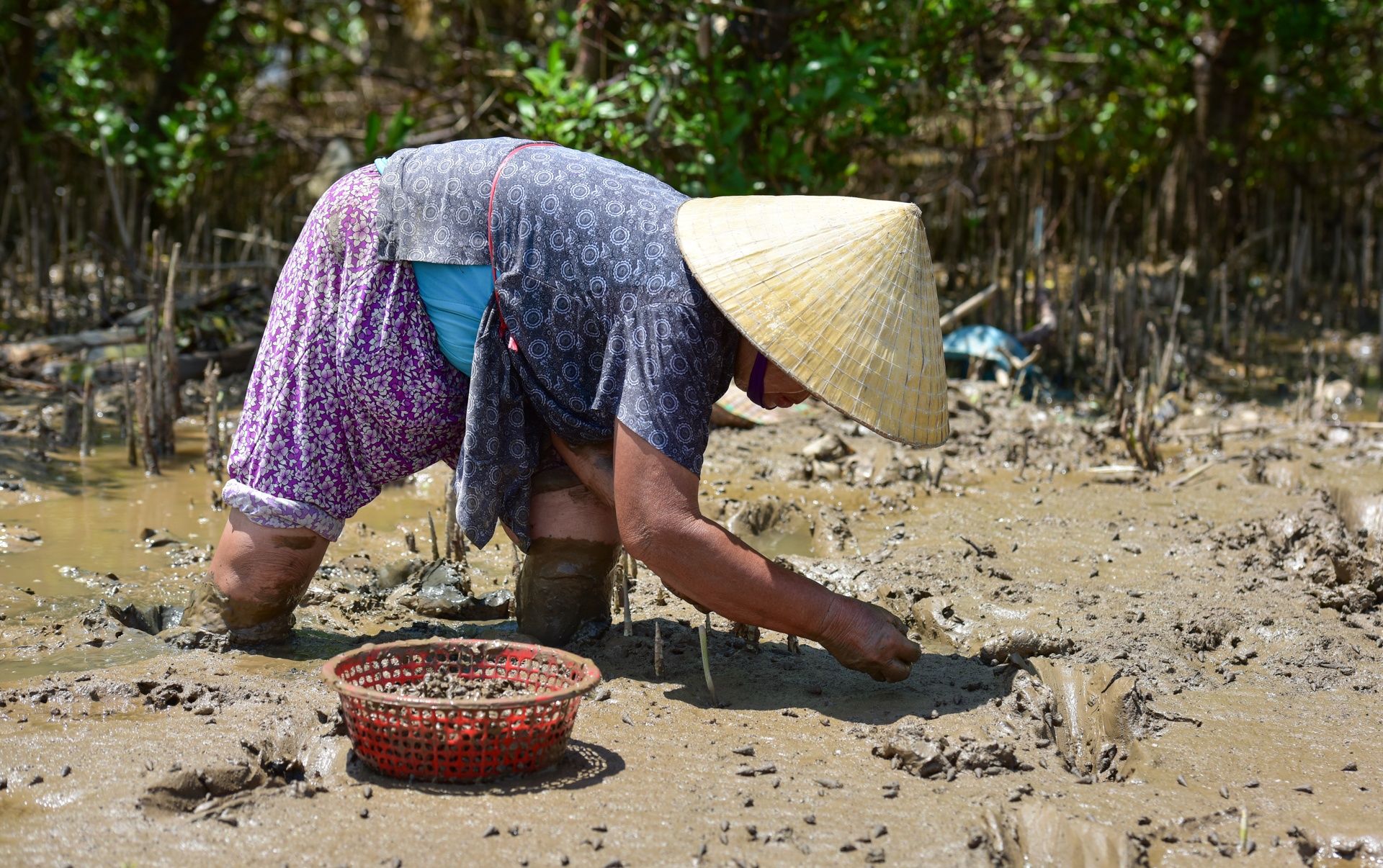 Bien rac khong lo o Thanh Hoa anh 6