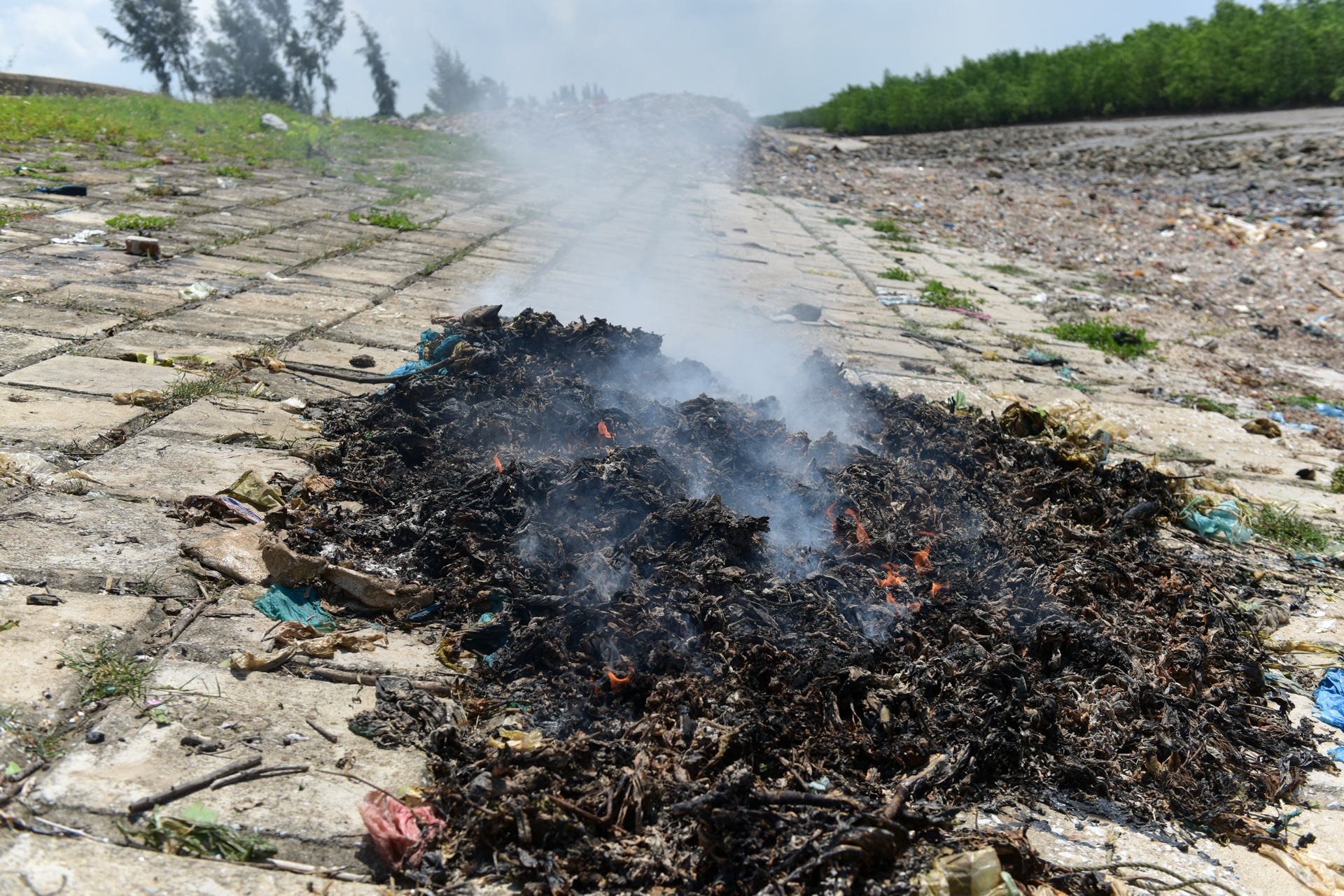 Bien rac khong lo o Thanh Hoa anh 9