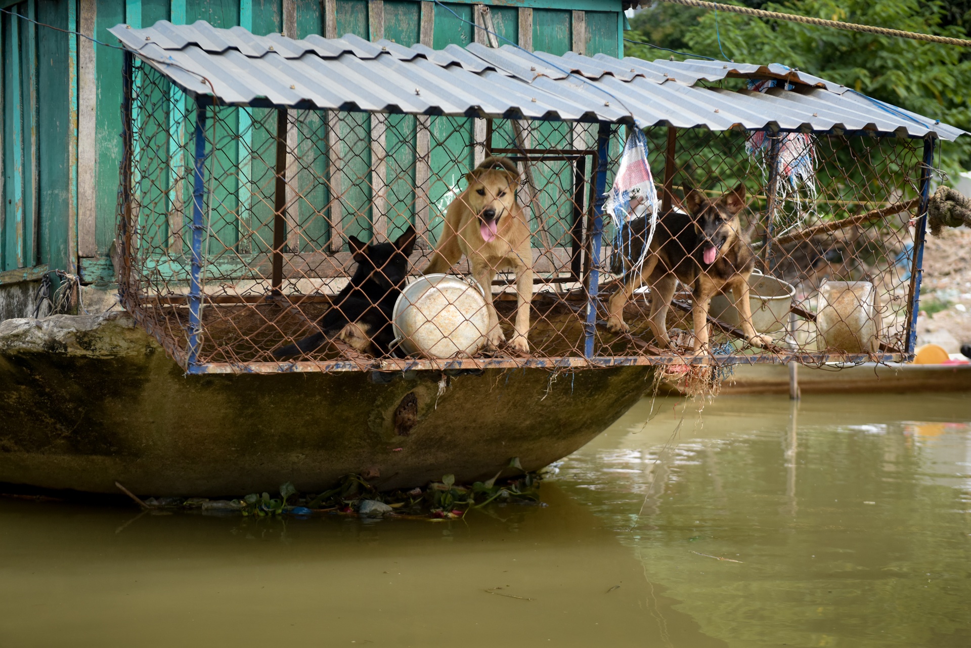 Xom chai that hoc anh 8