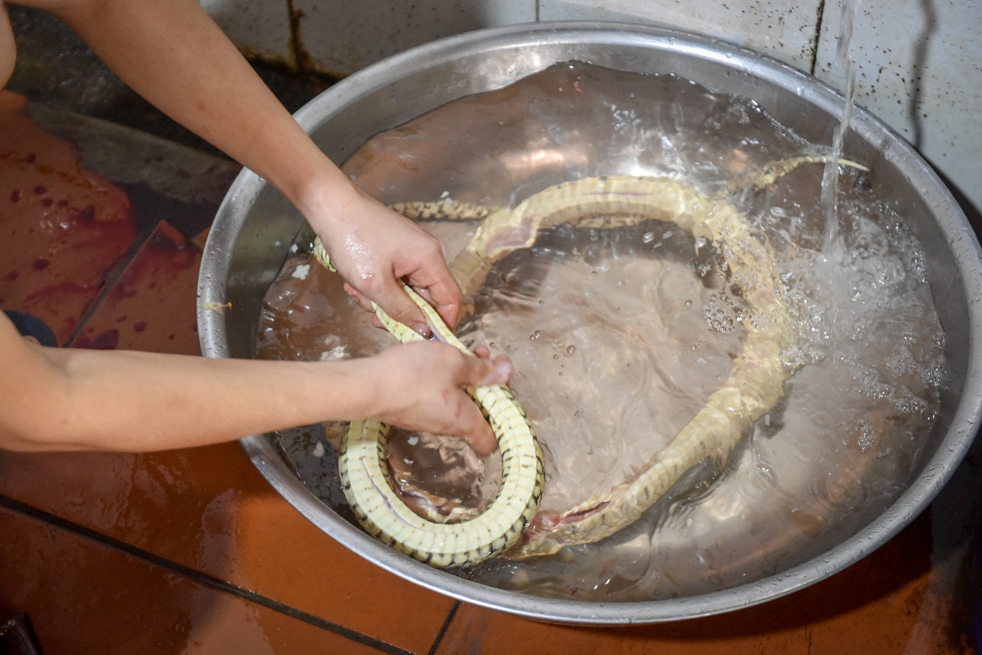 Che bien ran ho trau thanh mon nhau hinh anh