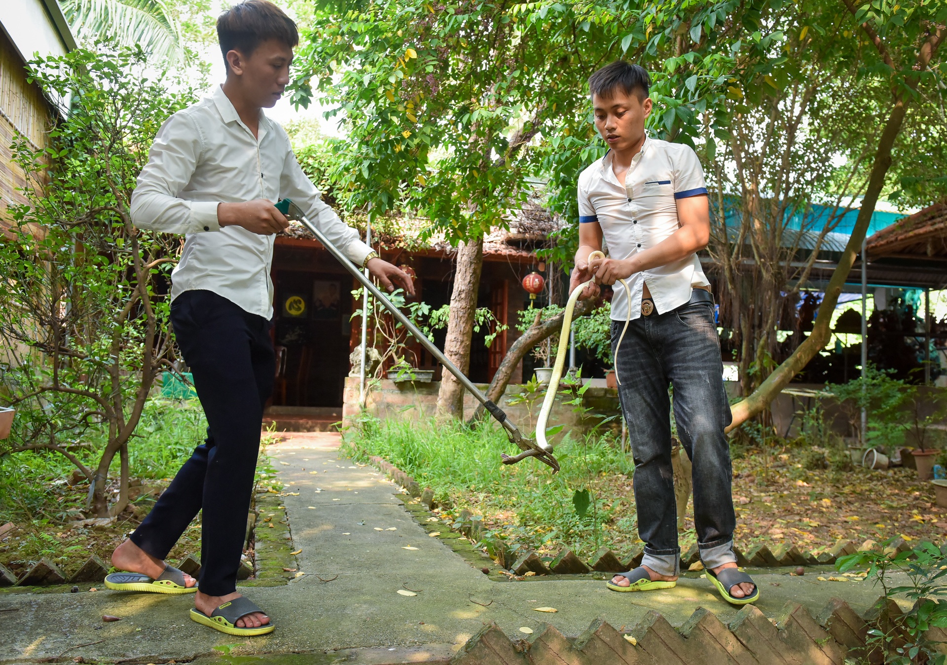 lang nghe ran vinh son anh 9