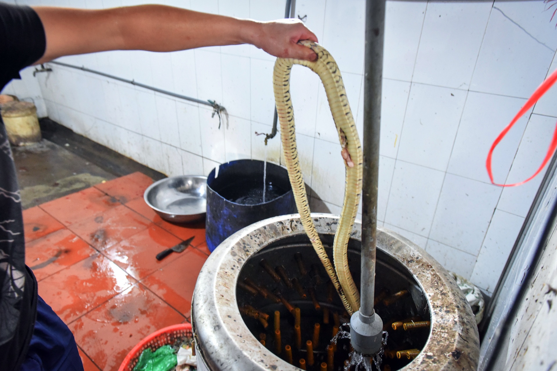 lang nghe ran vinh son anh 10