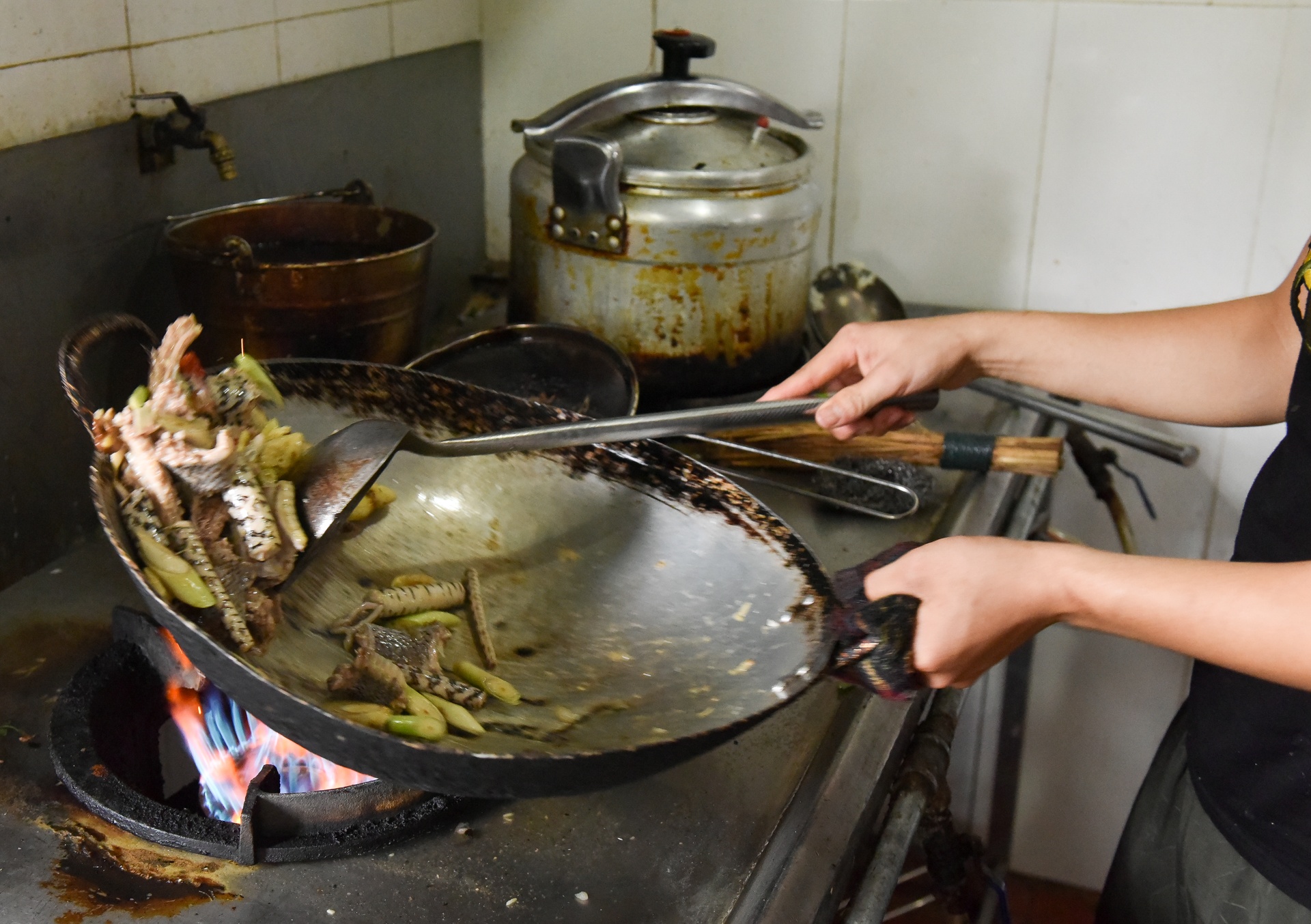 lang nghe ran vinh son anh 12