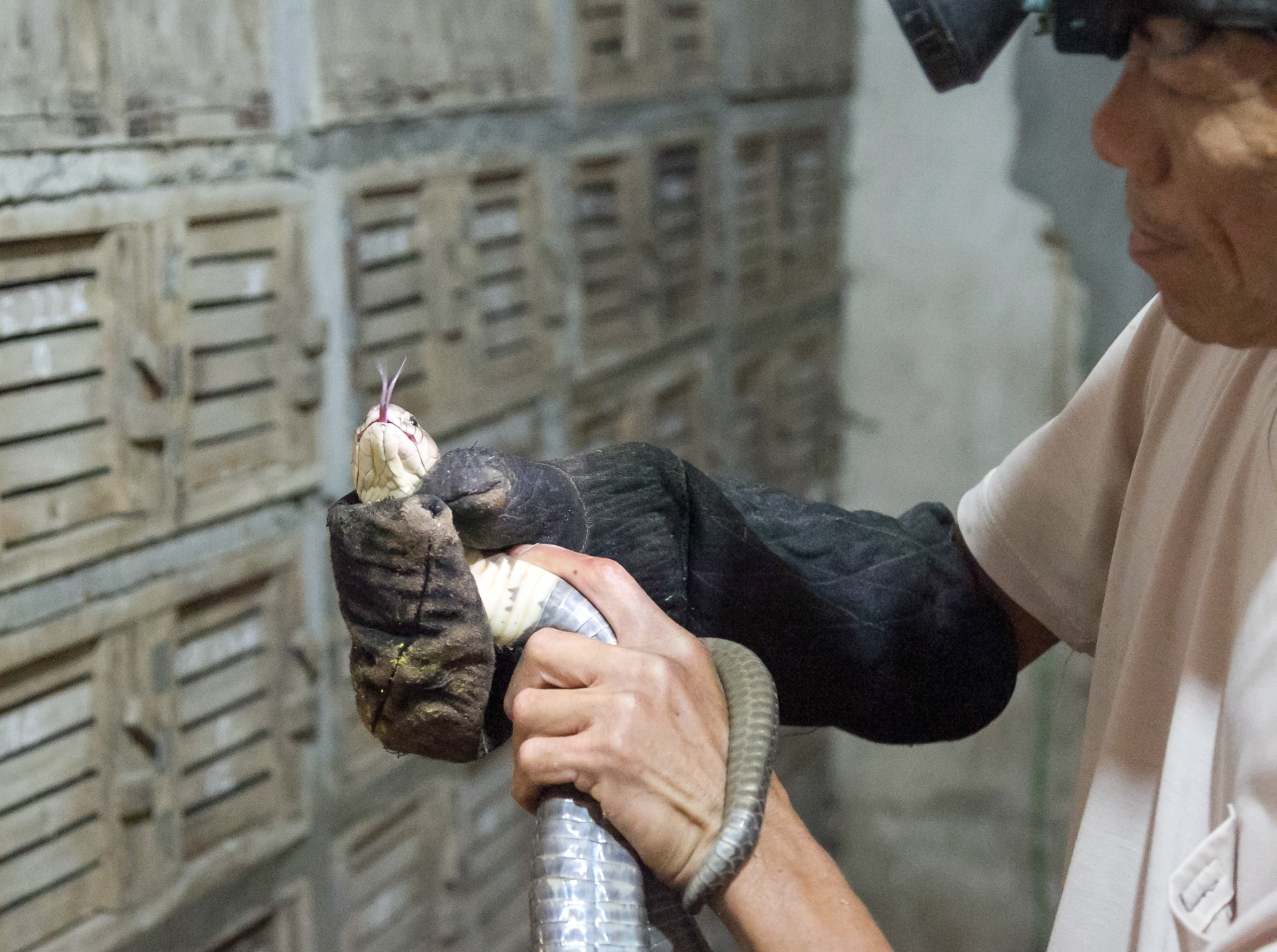 lang nghe ran vinh son anh 2