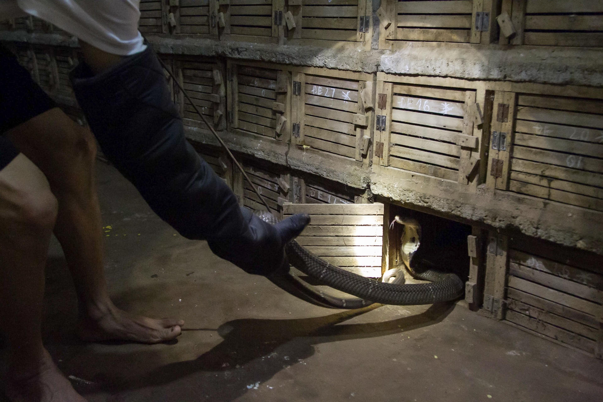 lang nghe ran vinh son anh 3