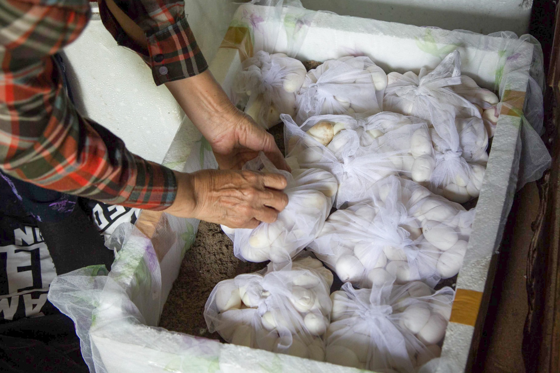 lang nghe ran vinh son anh 5