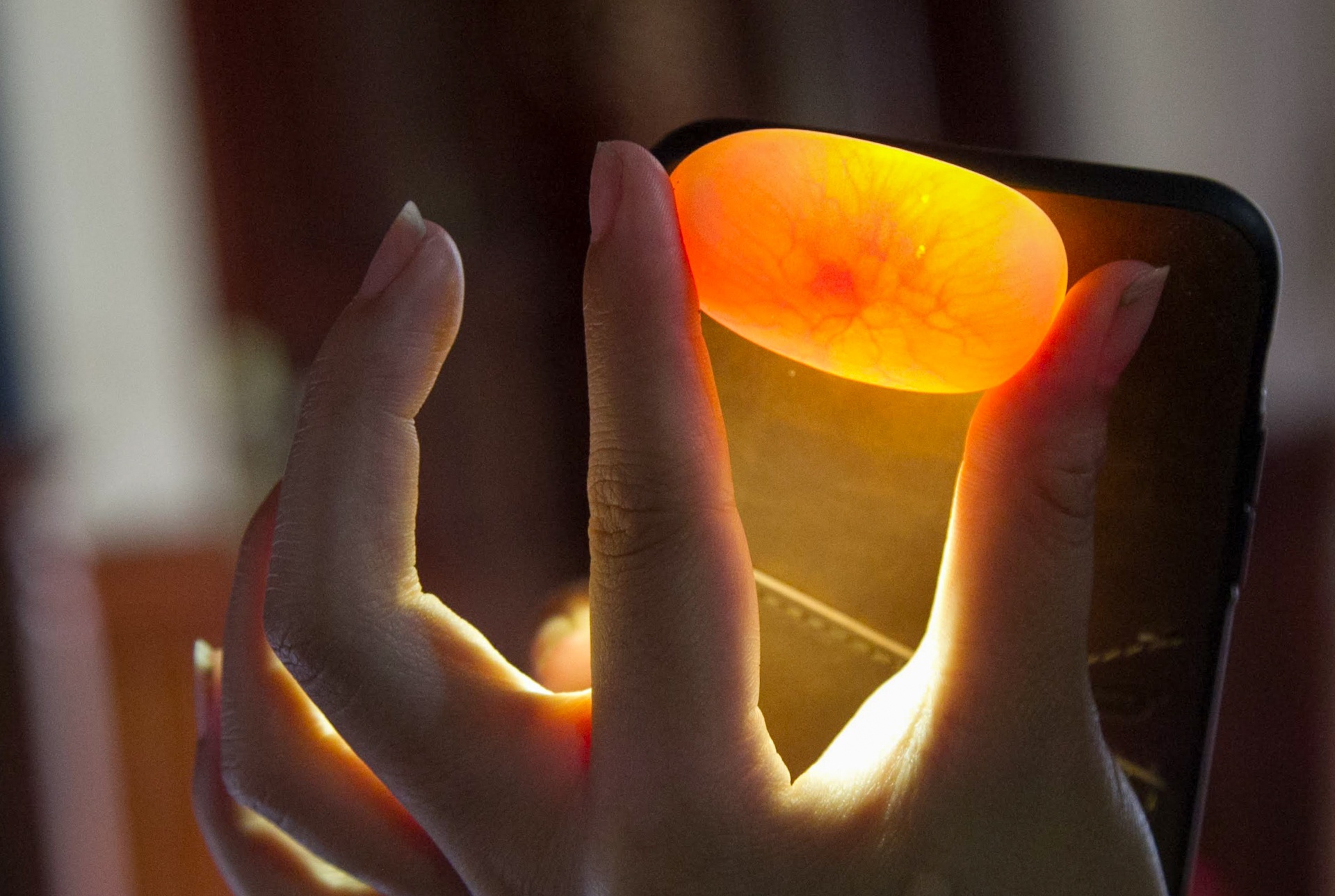 lang nghe ran vinh son anh 6