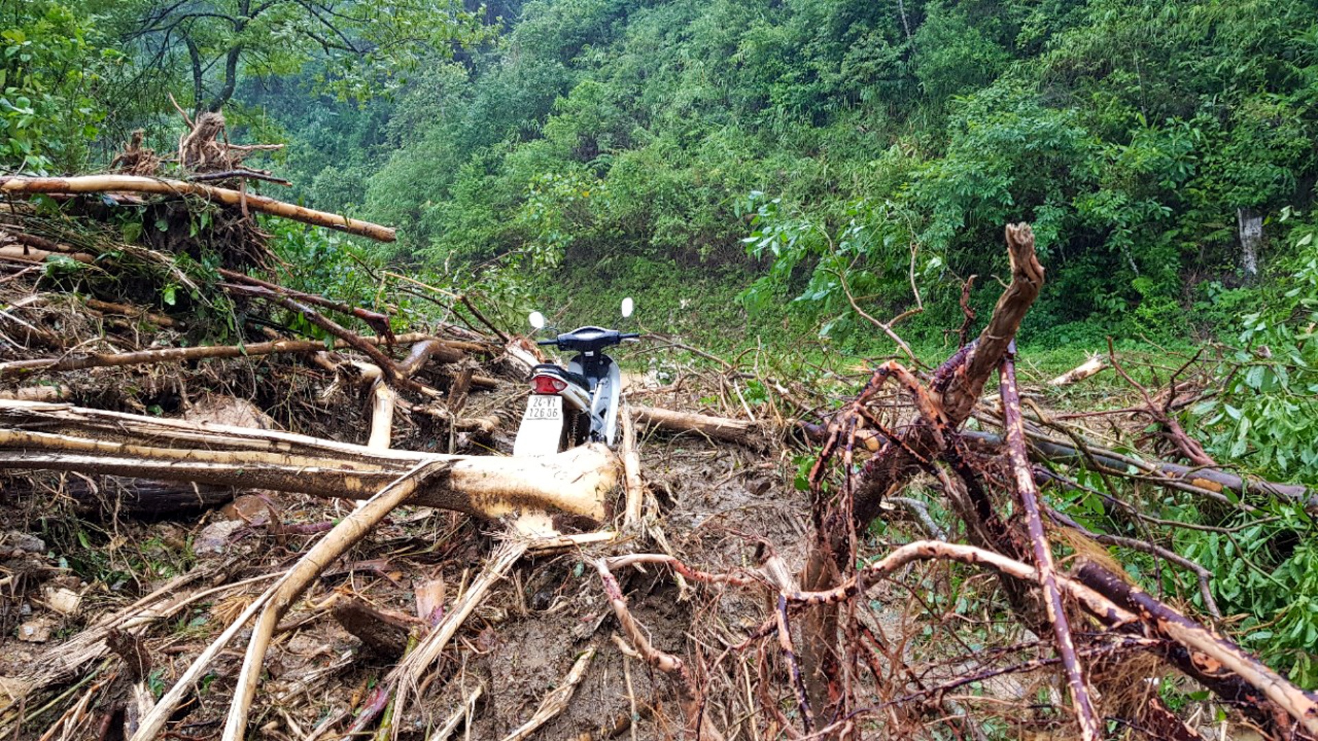 sạt lở đất nghiêm trọng ảnh 6 sat lo dat nghiem trong anh 6
