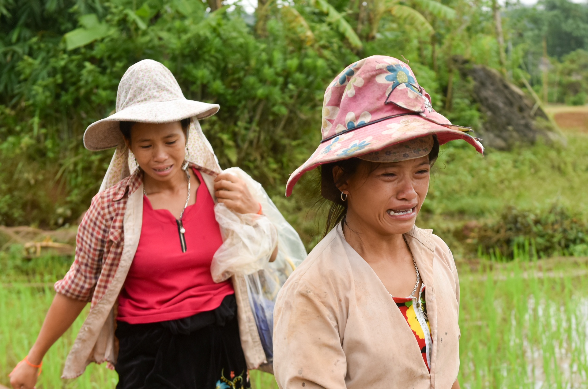 tim kiem nan nhan mat tich anh 11