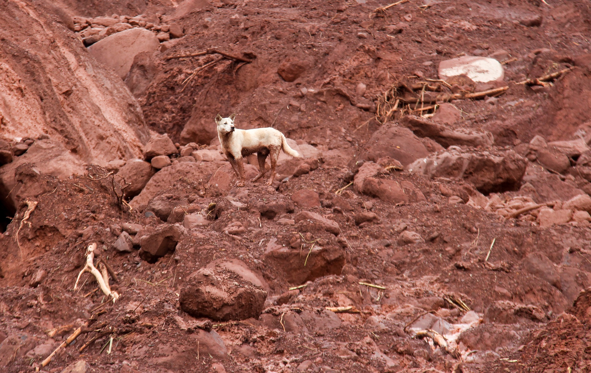 tim kiem nan nhan mat tich anh 13