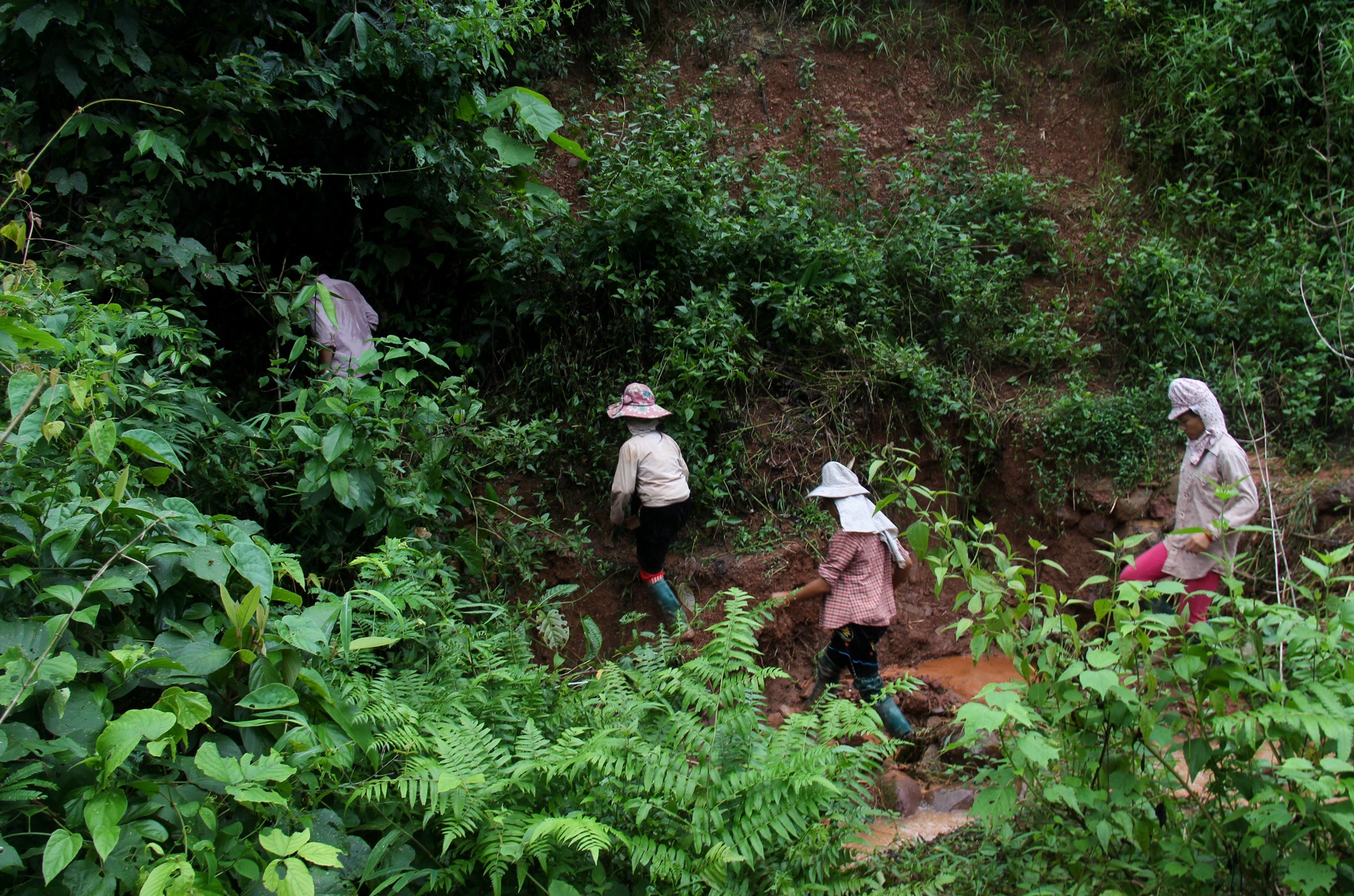 tim kiem nan nhan mat tich anh 3