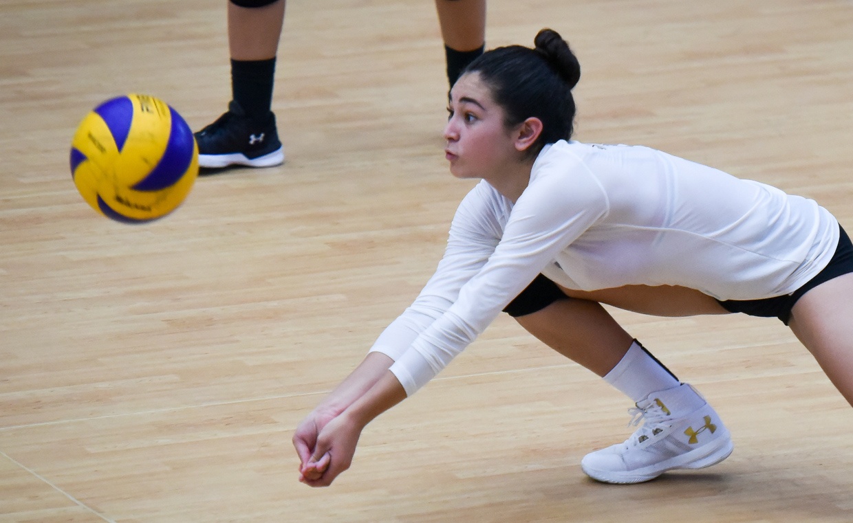 Bong hong nguoi My noi bat tren san bong chuyen tai Viet Nam hinh anh