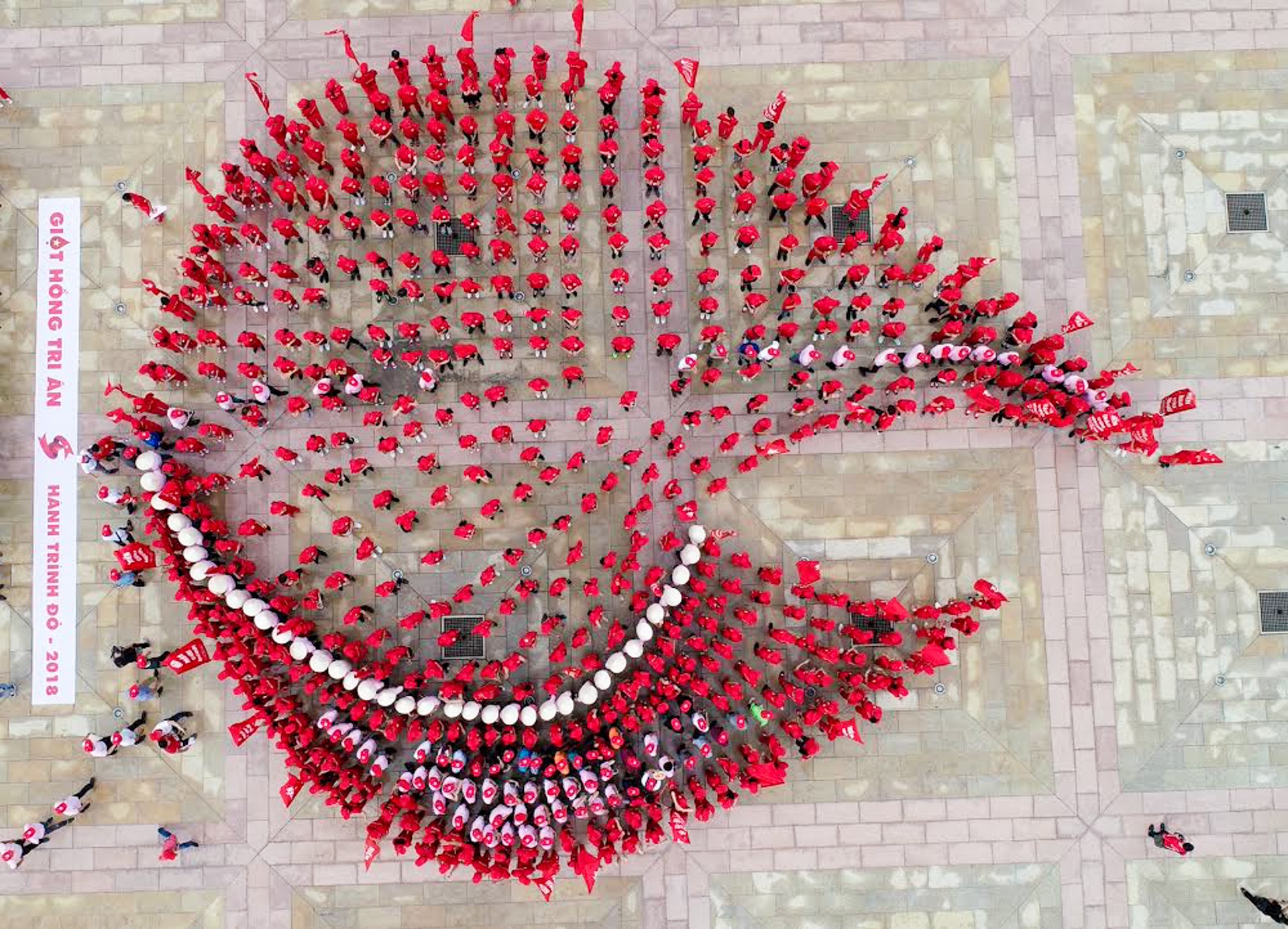 Giot mau khong lo duoc xep boi nghin ban tre hinh anh