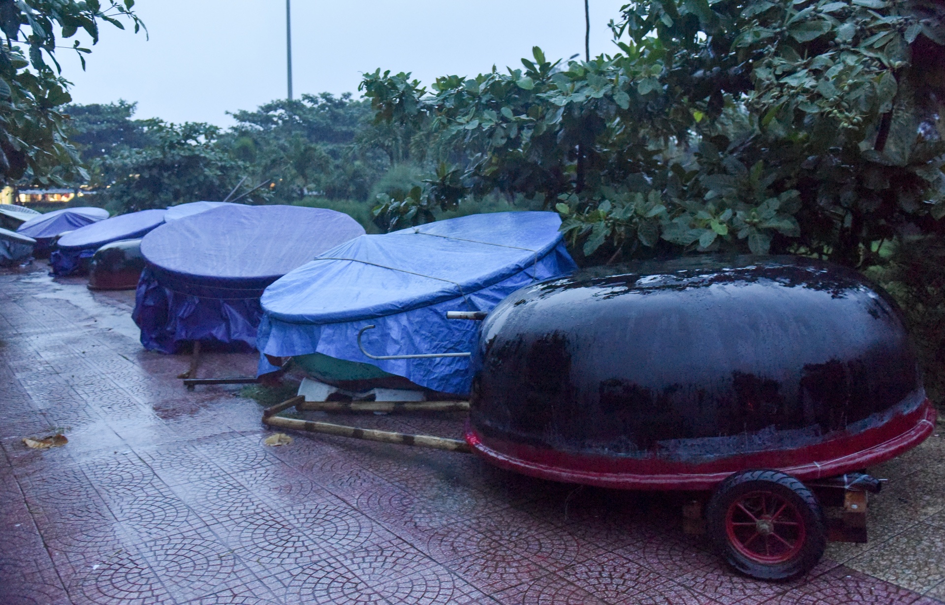 bao so 3 do bo dat lien anh 20