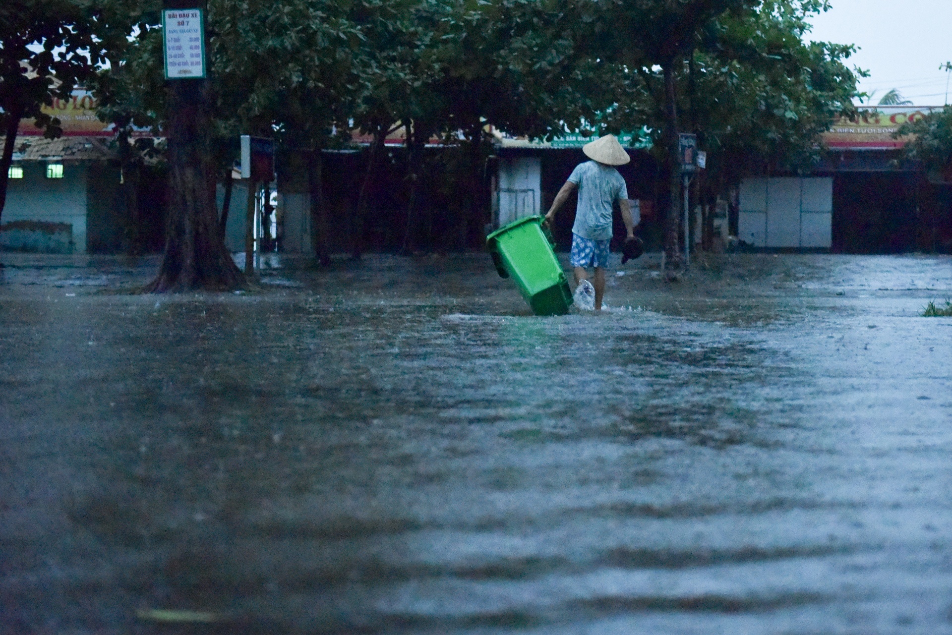 bao so 3 do bo dat lien anh 12