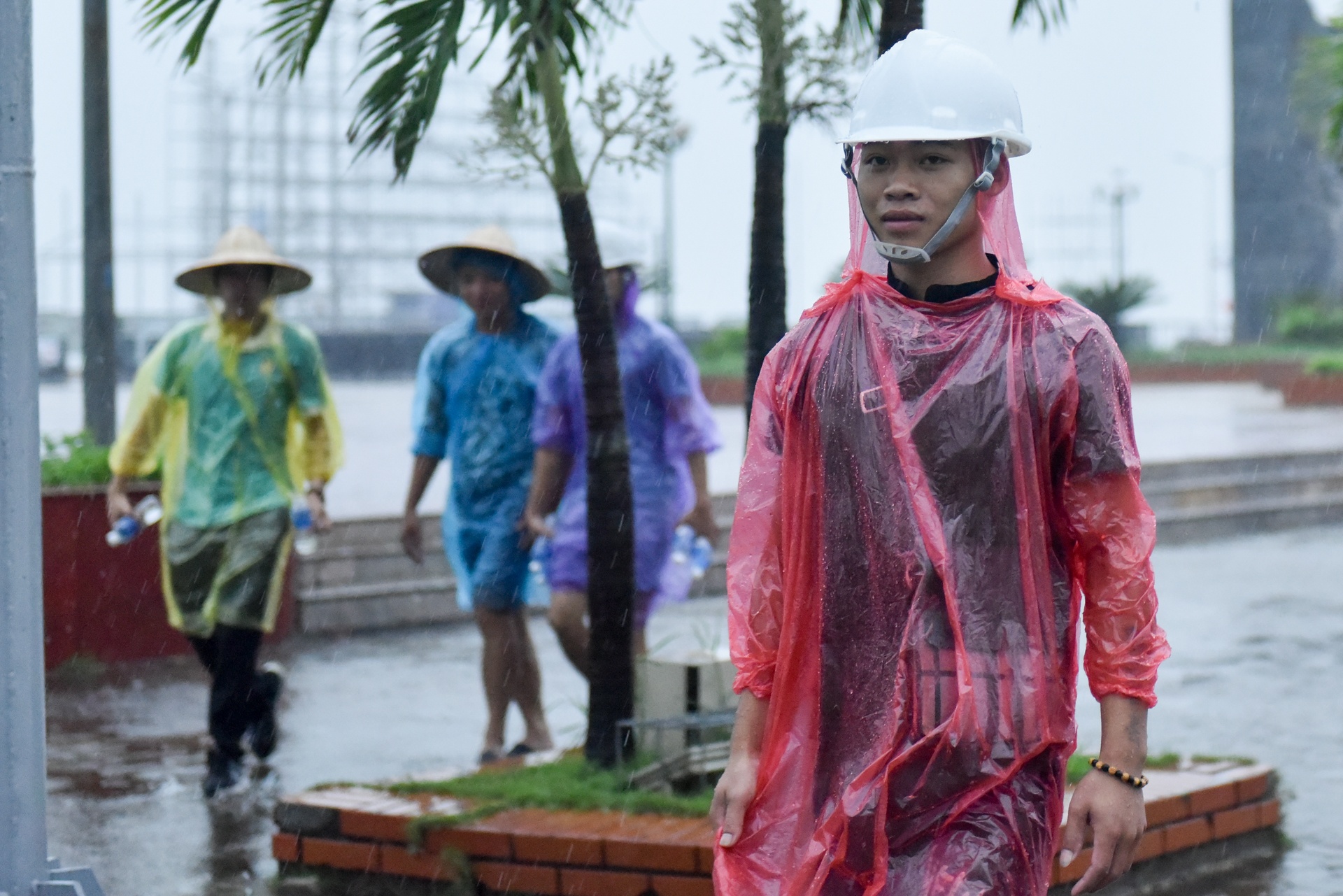 bao so 3 do bo dat lien anh 14