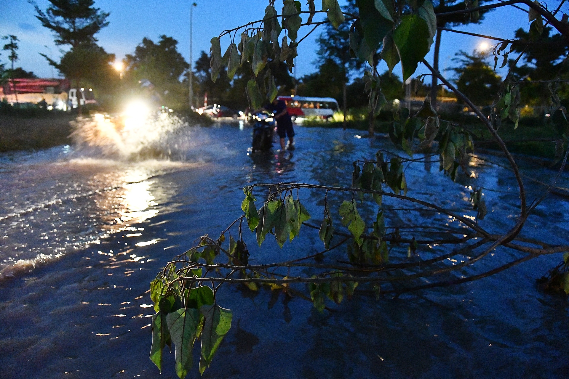 mua ngap o thien duong Bao Son anh 8