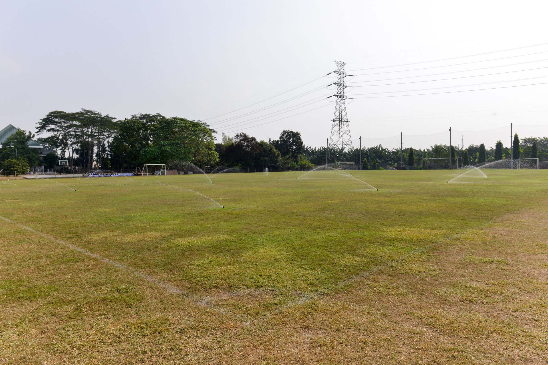 Bao chi bi cam tac nghiep anh 3