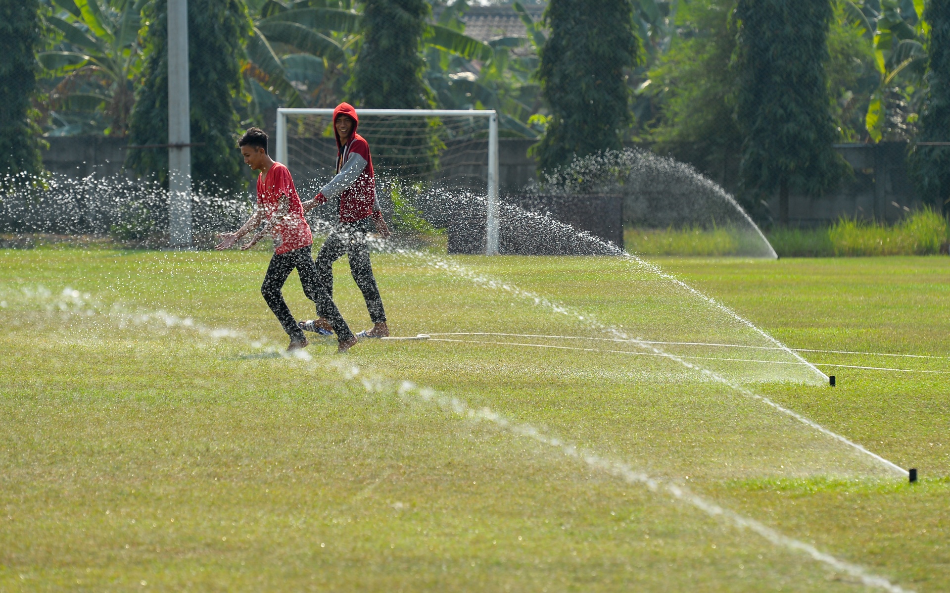 Bao chi bi cam tac nghiep anh 4