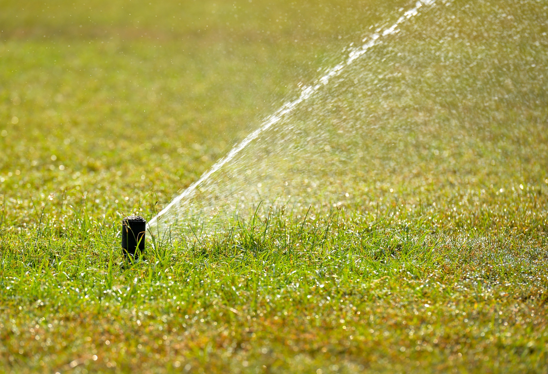 Bao chi bi cam tac nghiep anh 6