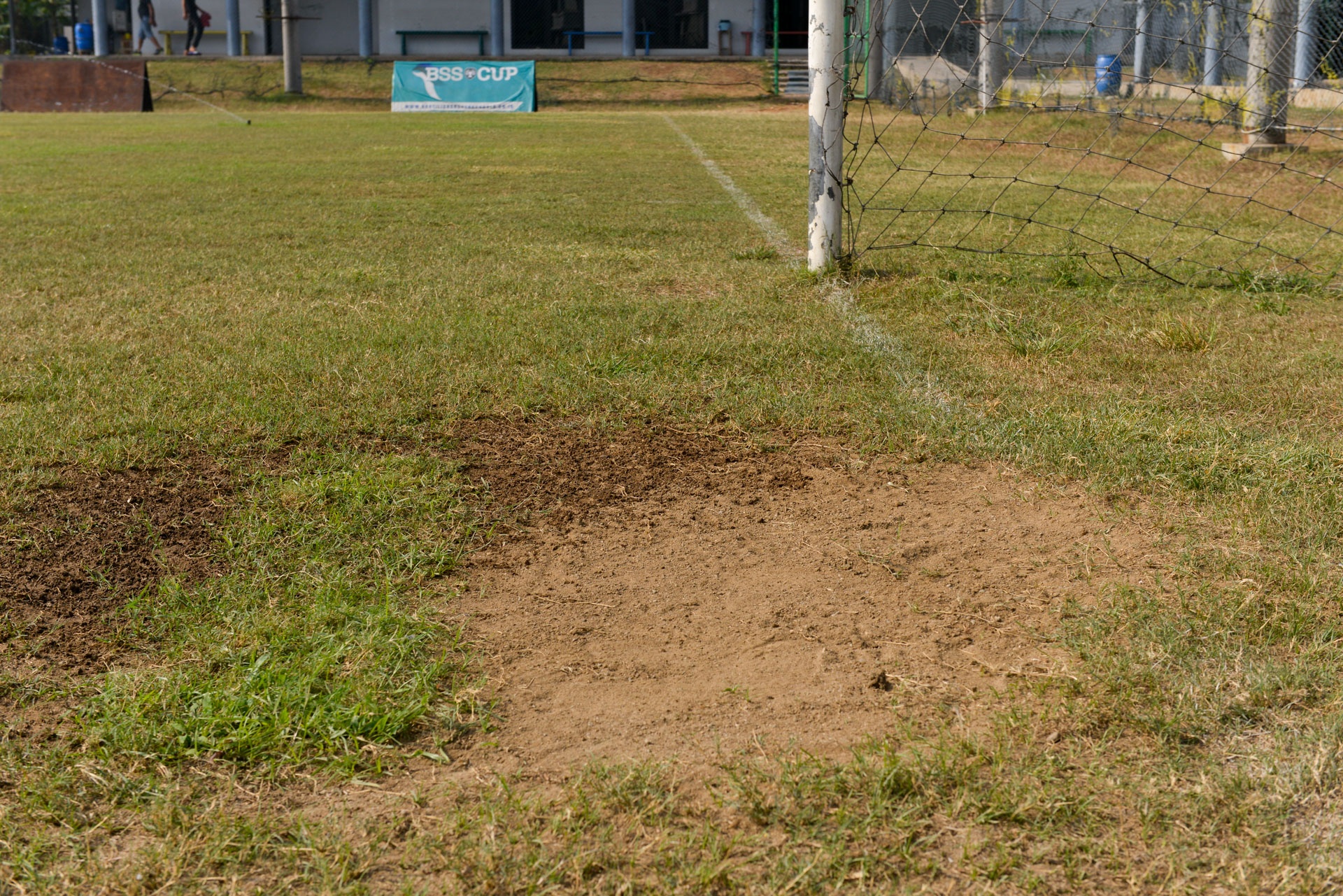 Bao chi bi cam tac nghiep anh 7