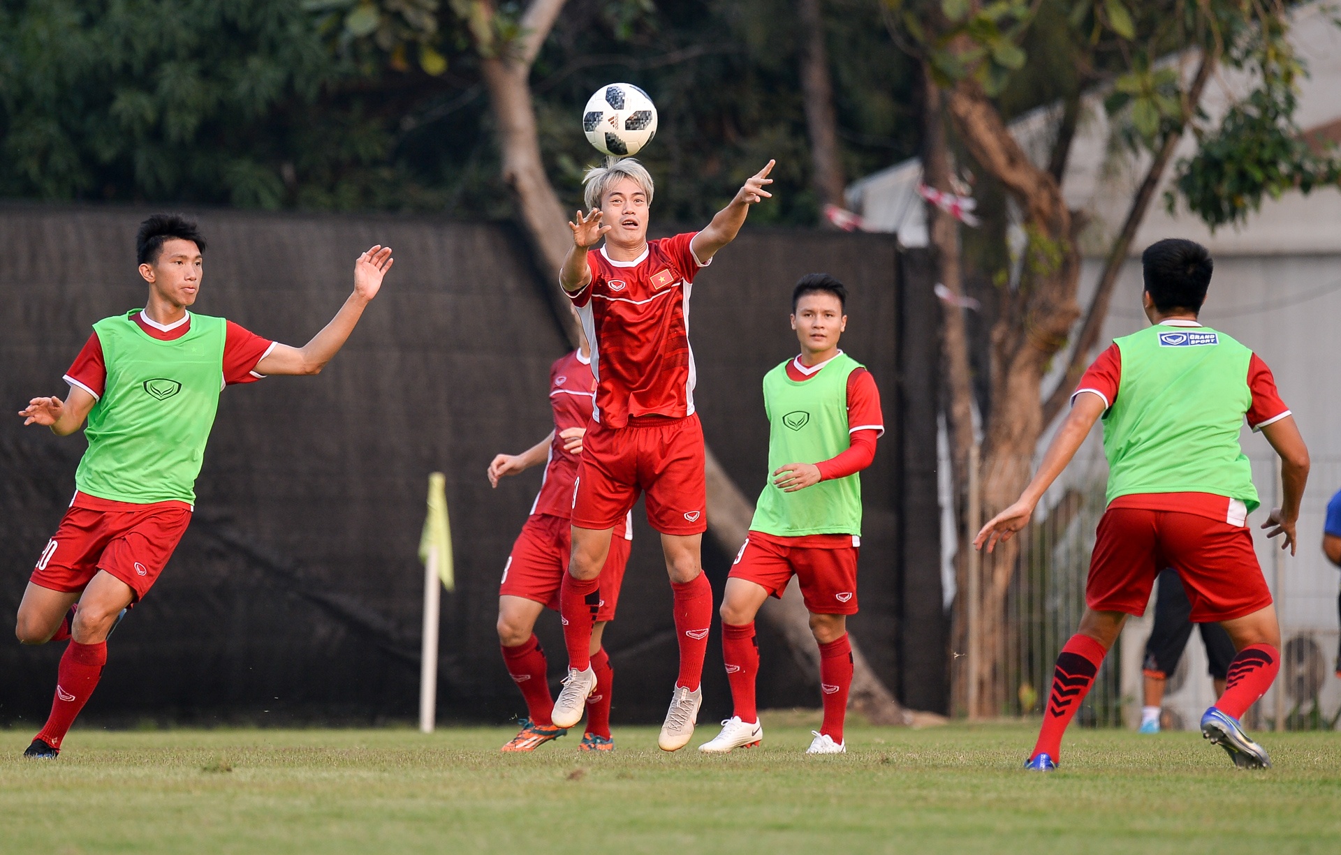 Viet Nam dau loai truc tiep anh 1