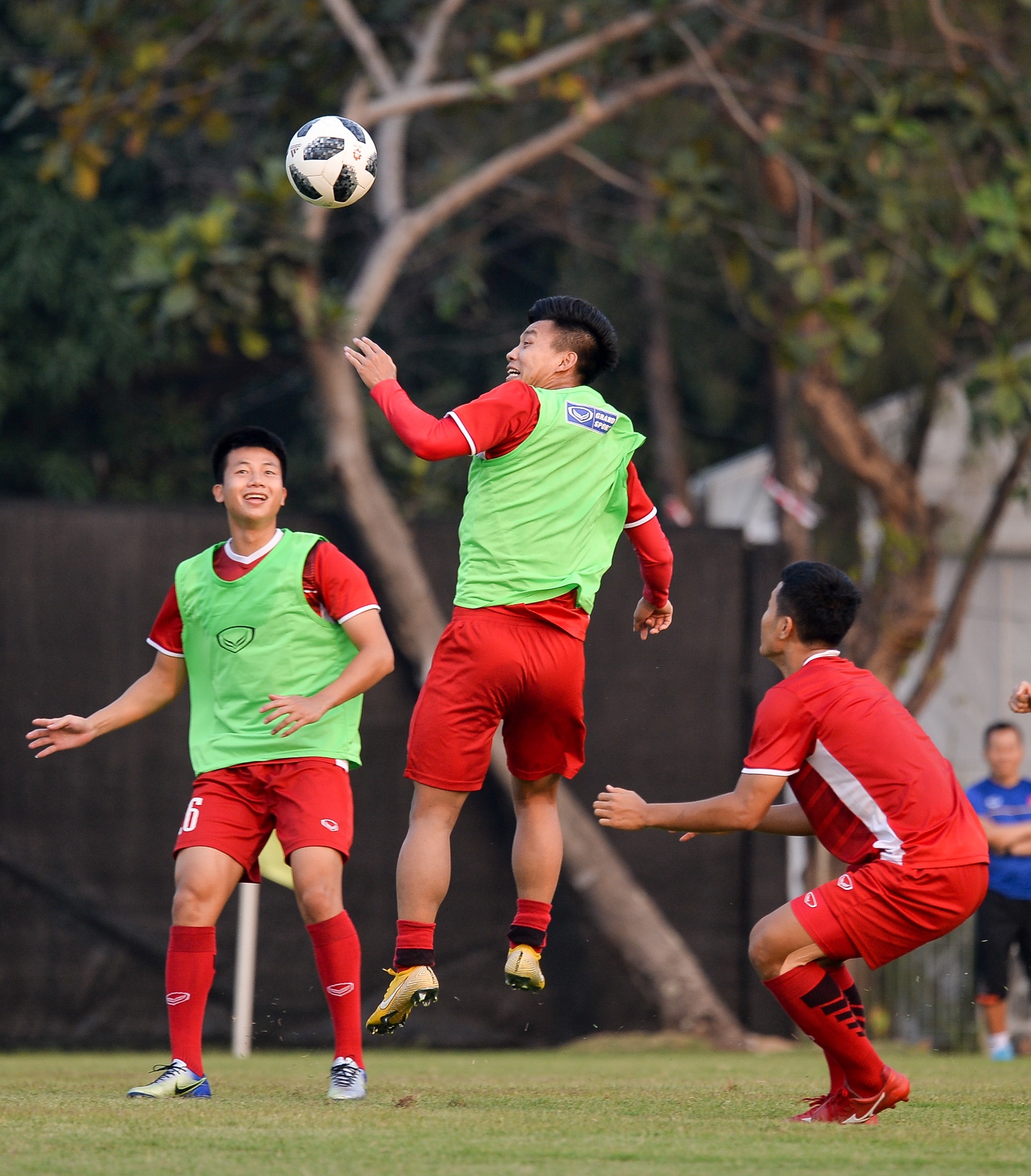 Viet Nam dau loai truc tiep anh 2