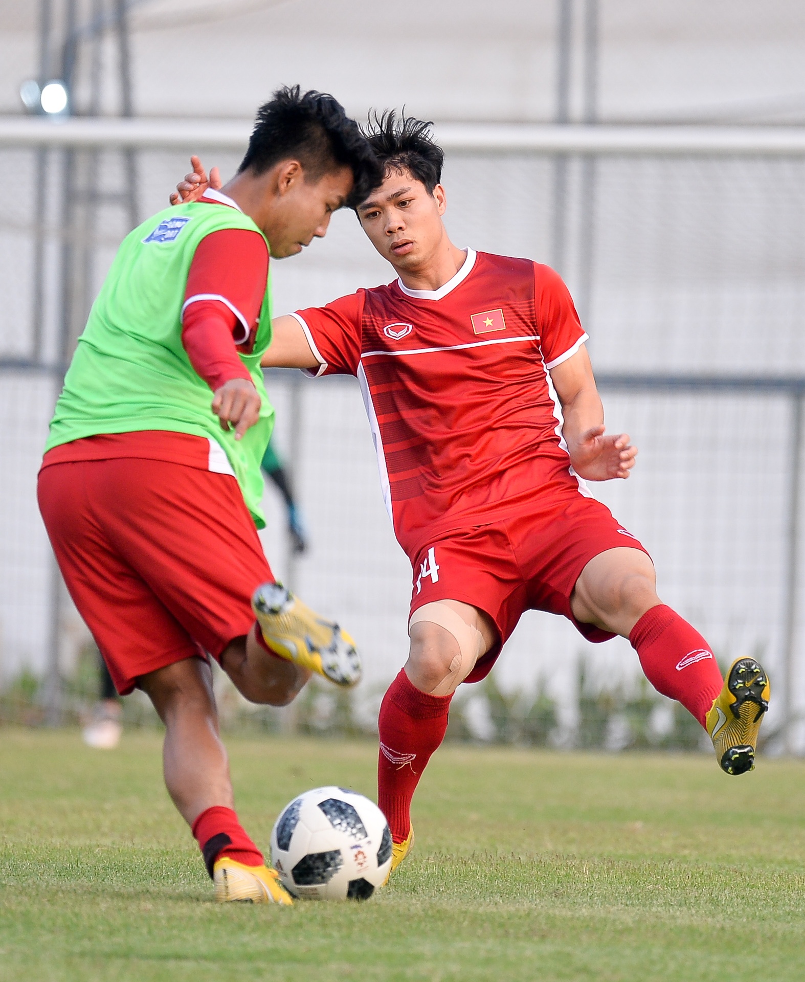 Viet Nam dau loai truc tiep anh 4