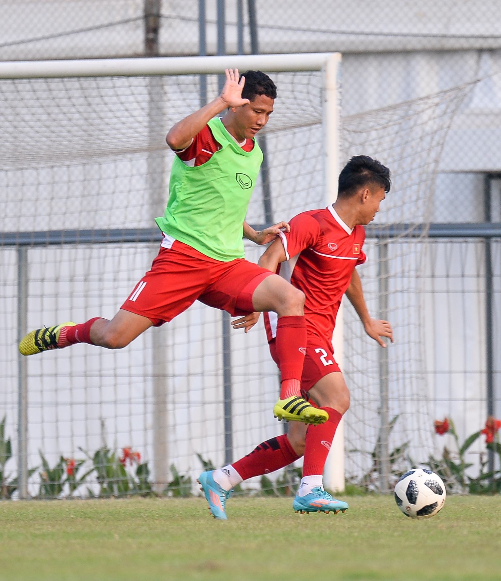 Viet Nam dau loai truc tiep anh 5