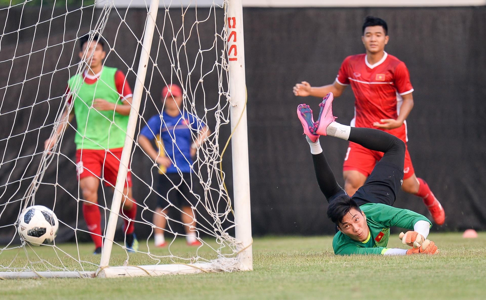 Viet Nam dau loai truc tiep anh 6