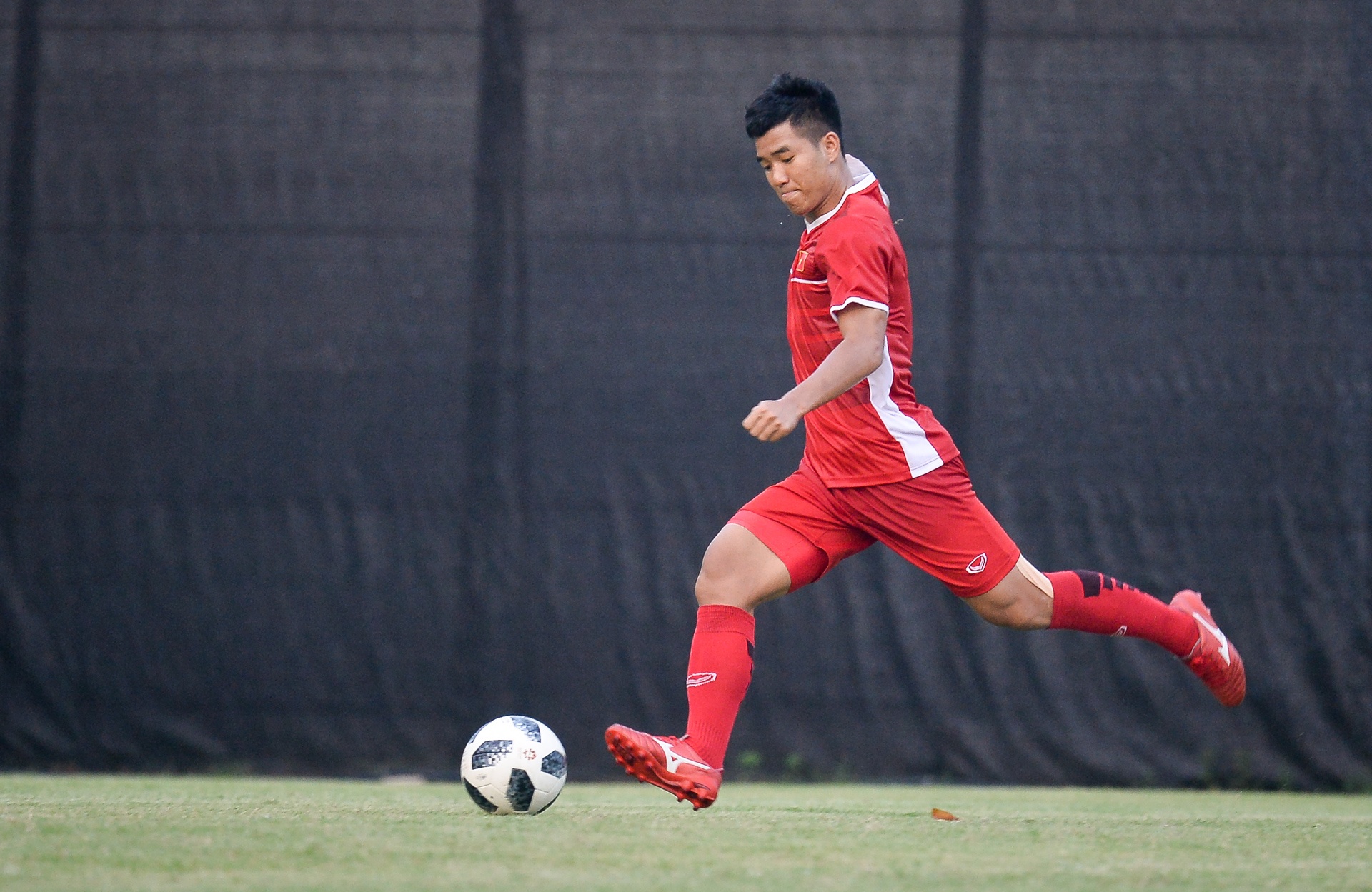 Viet Nam dau loai truc tiep anh 7