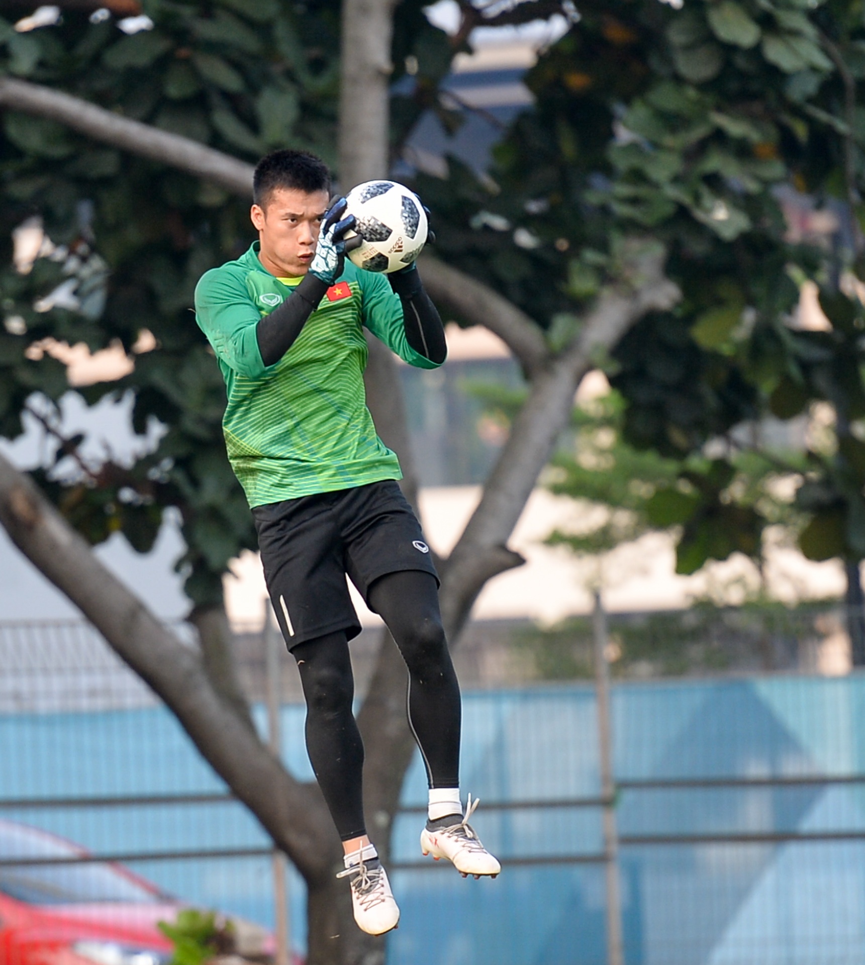 Viet Nam dau loai truc tiep anh 8