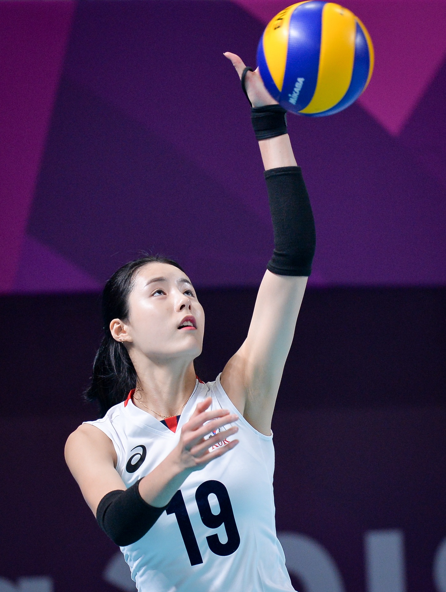 bóng hồng Hàn Quốc ảnh 4 bong hong Han Quoc anh 4