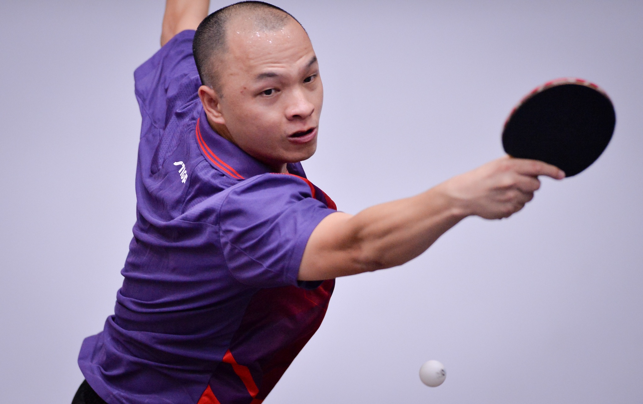 Cup Hoi Nha bao Viet Nam 2018 anh 10